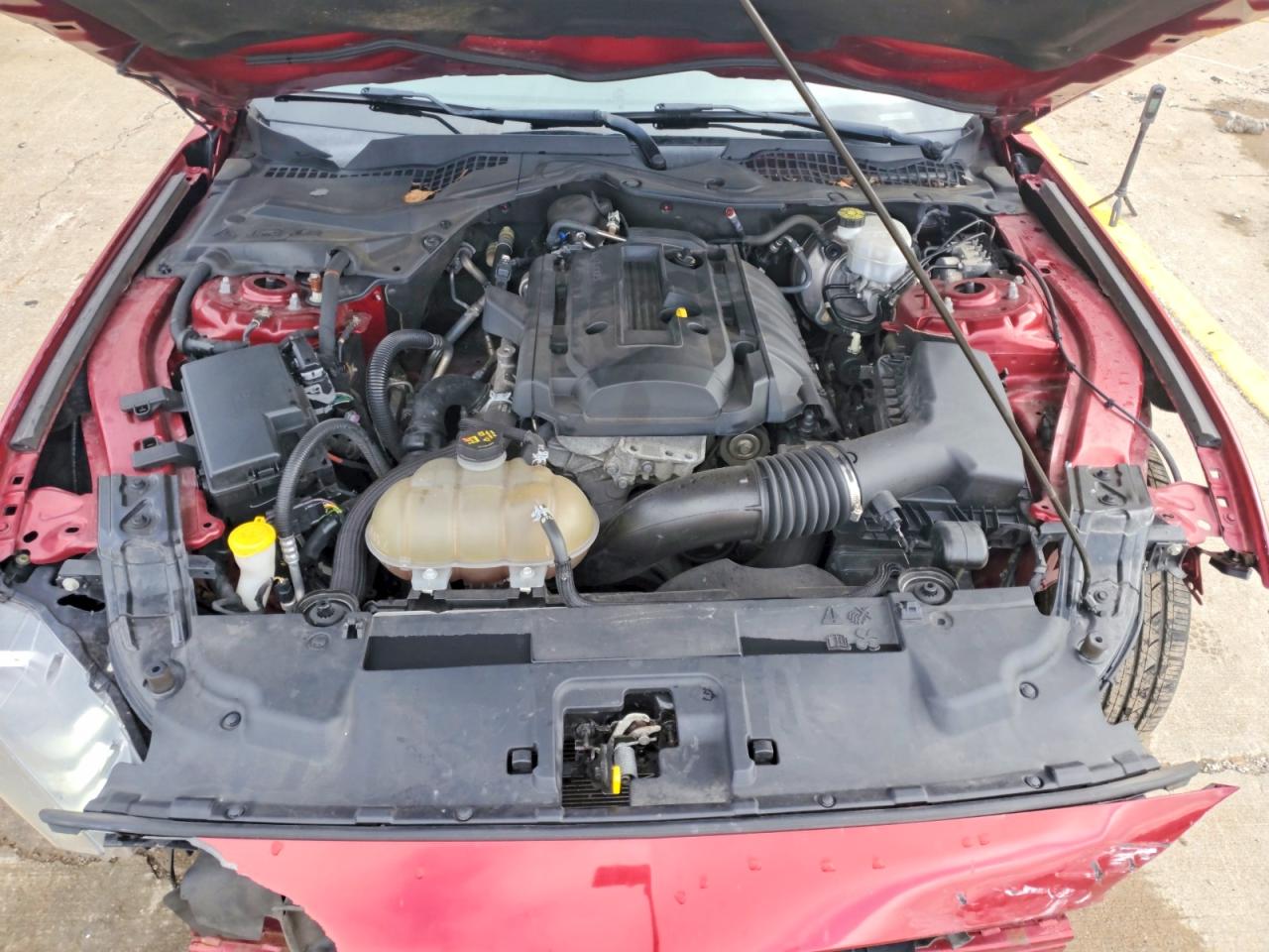 2019 Ford Mustang Burgundy vin: 1FA6P8TH3K5142652