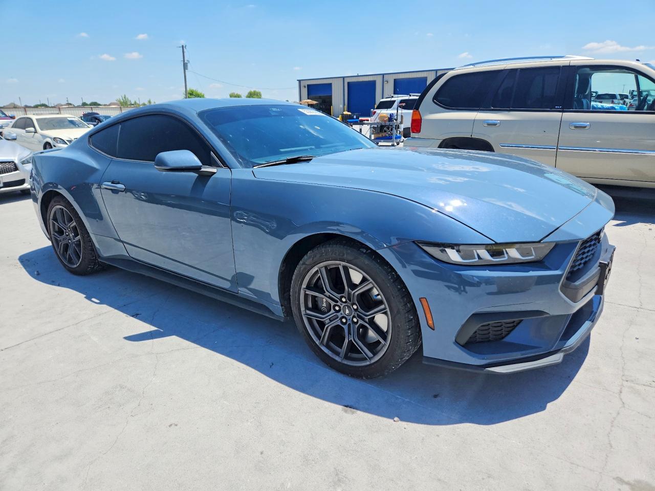 2024 Ford Mustang Blue vin: 1FA6P8TH3R5112660