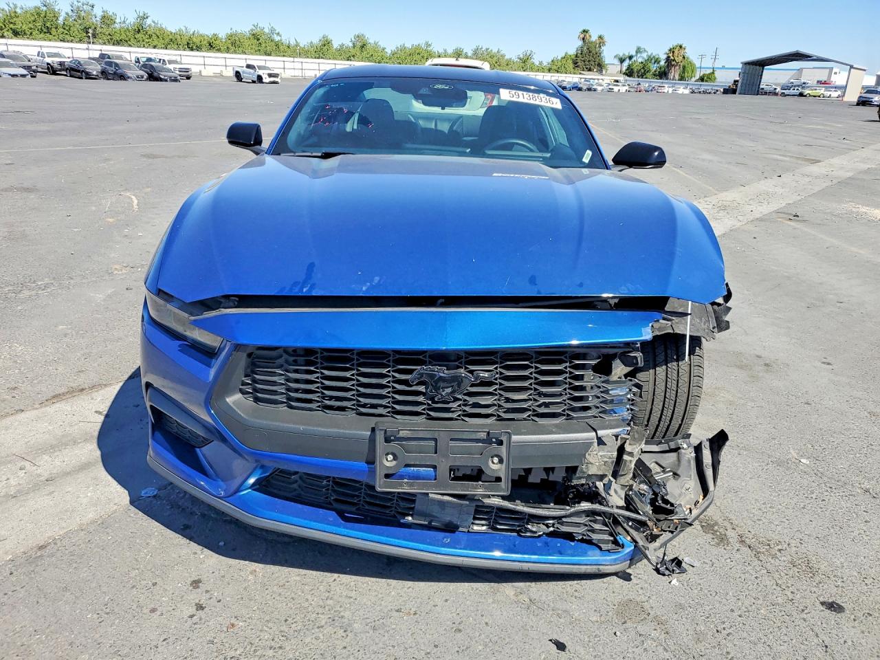 2024 Ford Mustang Blue vin: 1FA6P8TH3R5116580