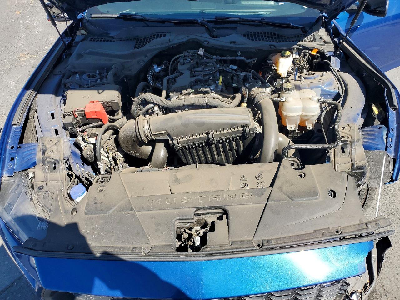 2024 Ford Mustang Blue vin: 1FA6P8TH3R5116580