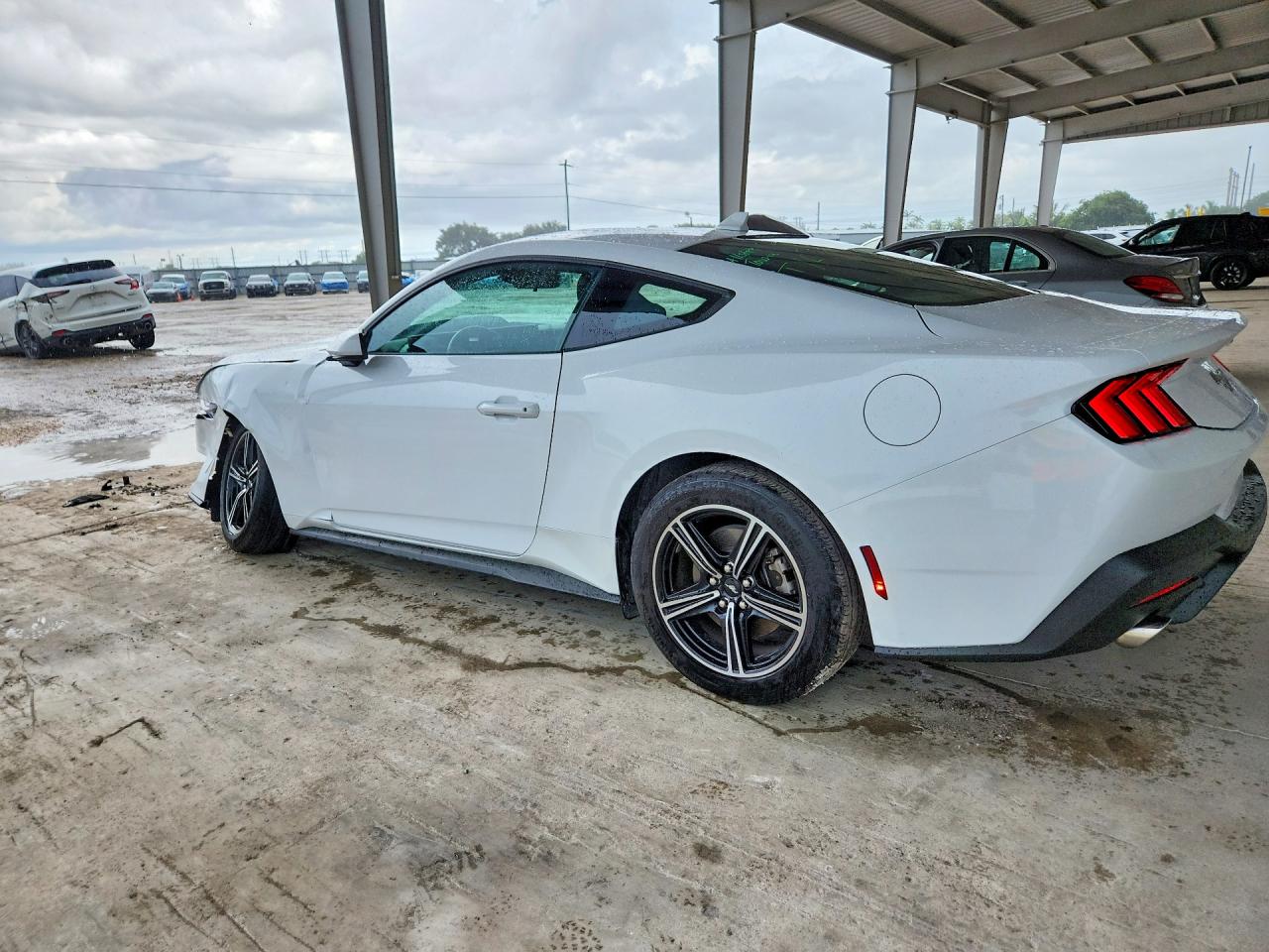 2025 Ford Mustang White vin: 1FA6P8TH3S5101342