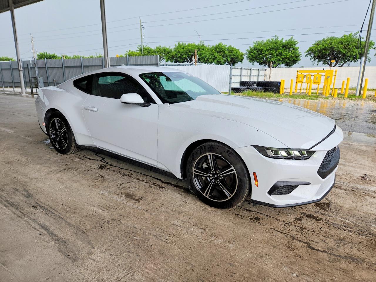 2025 Ford Mustang White vin: 1FA6P8TH3S5101342