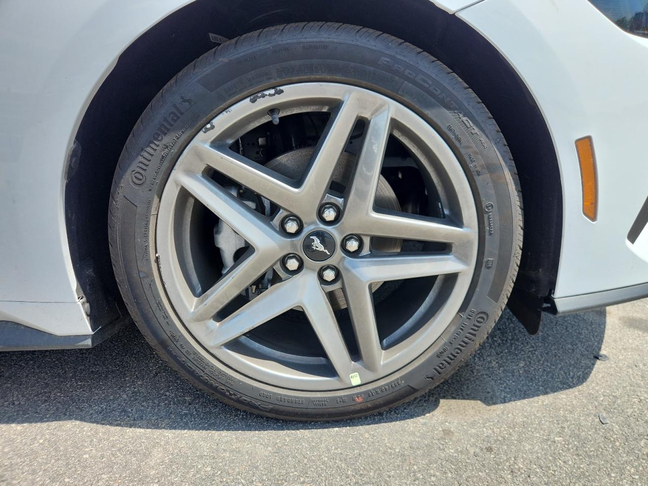 2026 Ford Mustang White vin: 1FA6P8TH3T5117669 Damage: Right Front Wheel, Curb Rash, 4 To 5 Inches