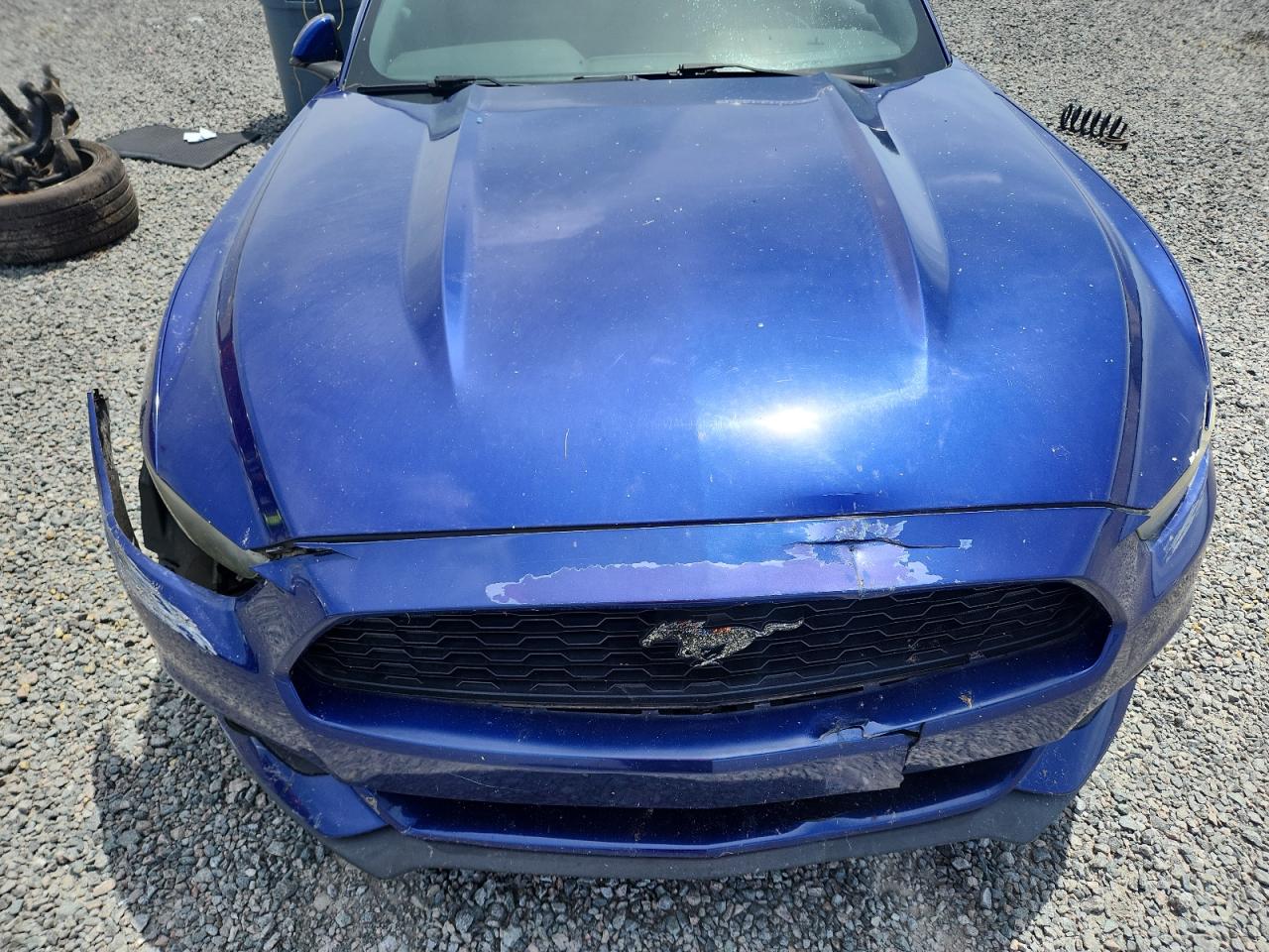 2015 Ford Mustang Blue vin: 1FA6P8TH4F5304701