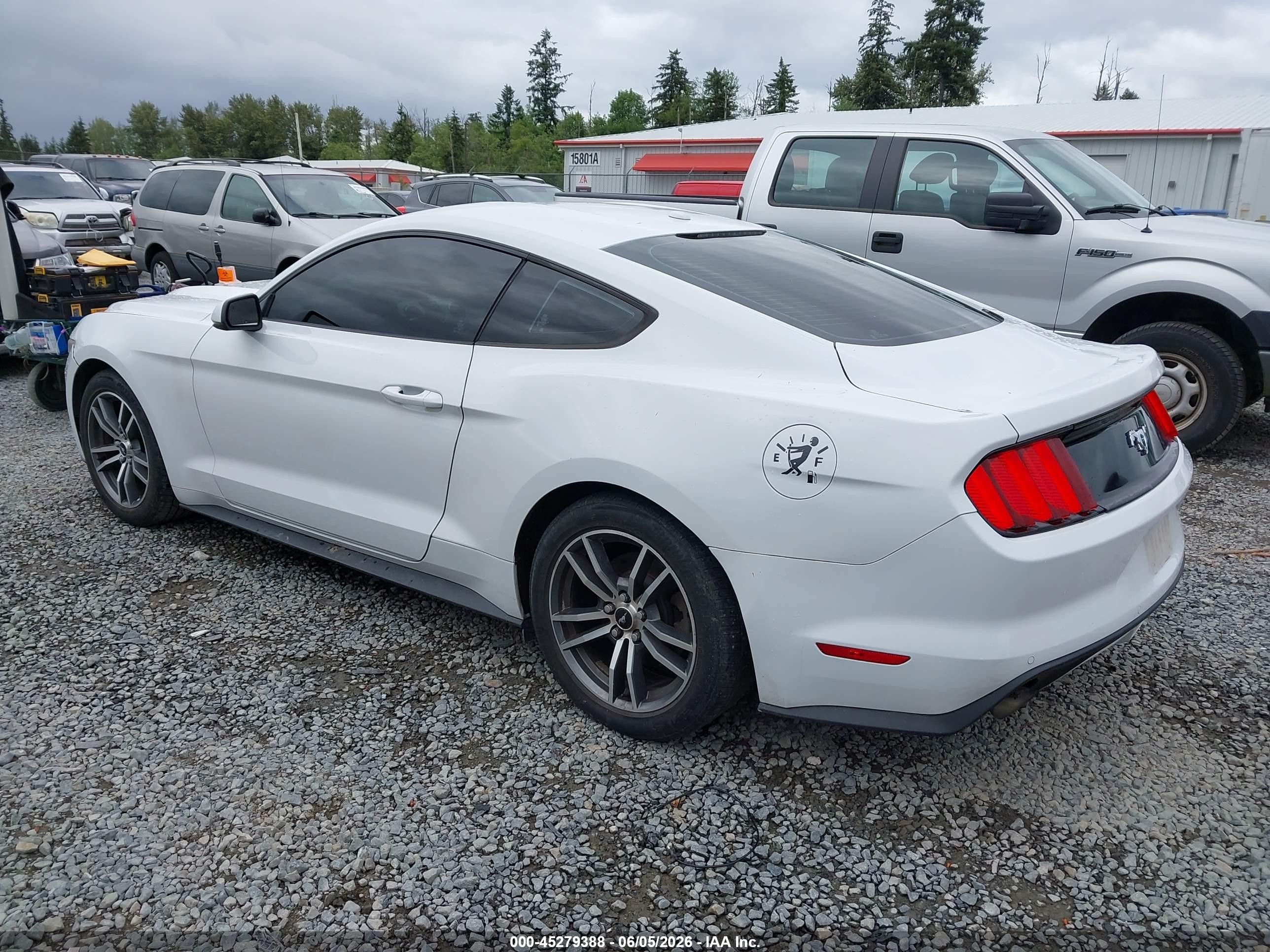 2015 Ford Mustang Ecoboost White vin: 1FA6P8TH4F5335866