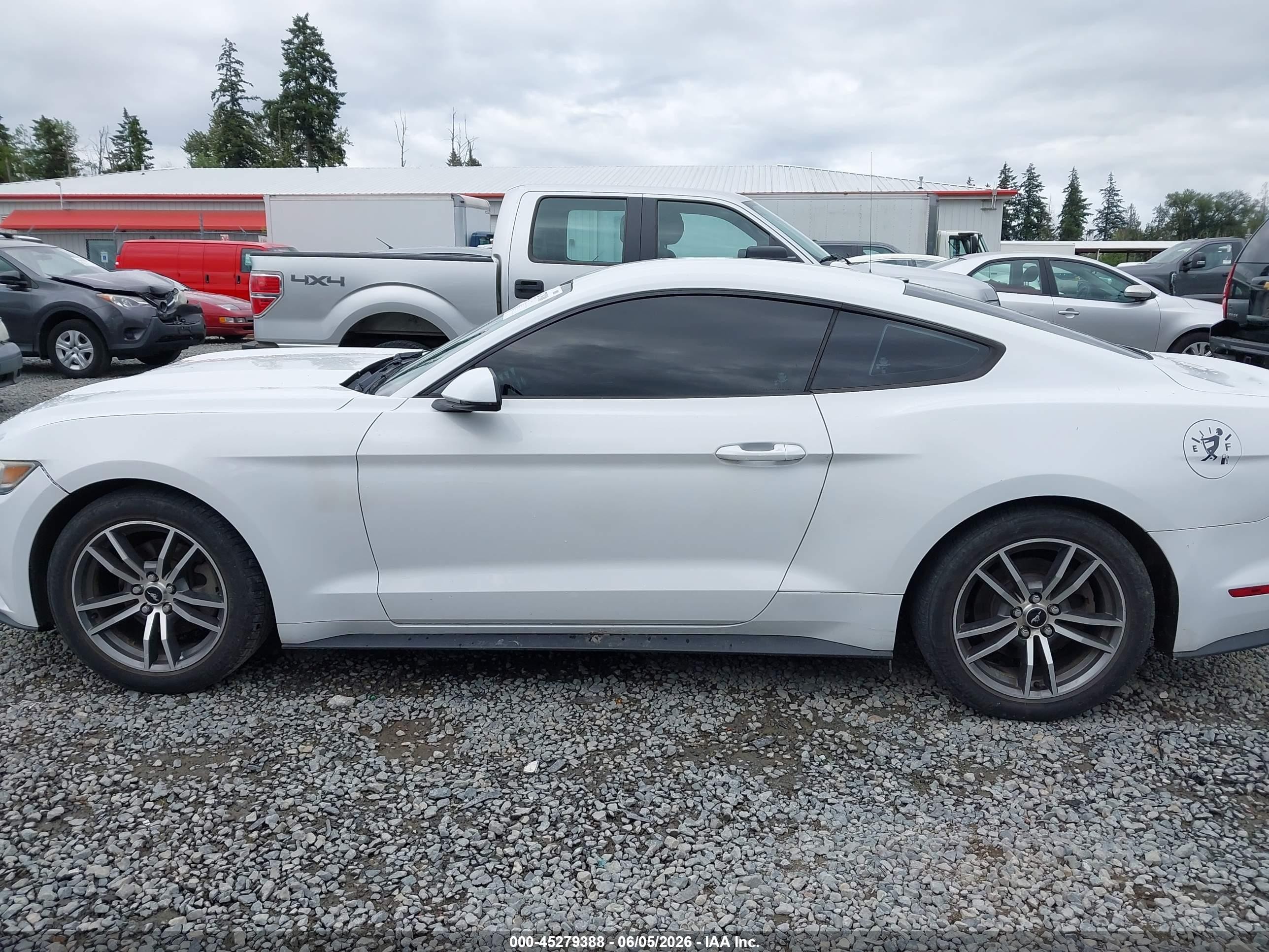 2015 Ford Mustang Ecoboost White vin: 1FA6P8TH4F5335866