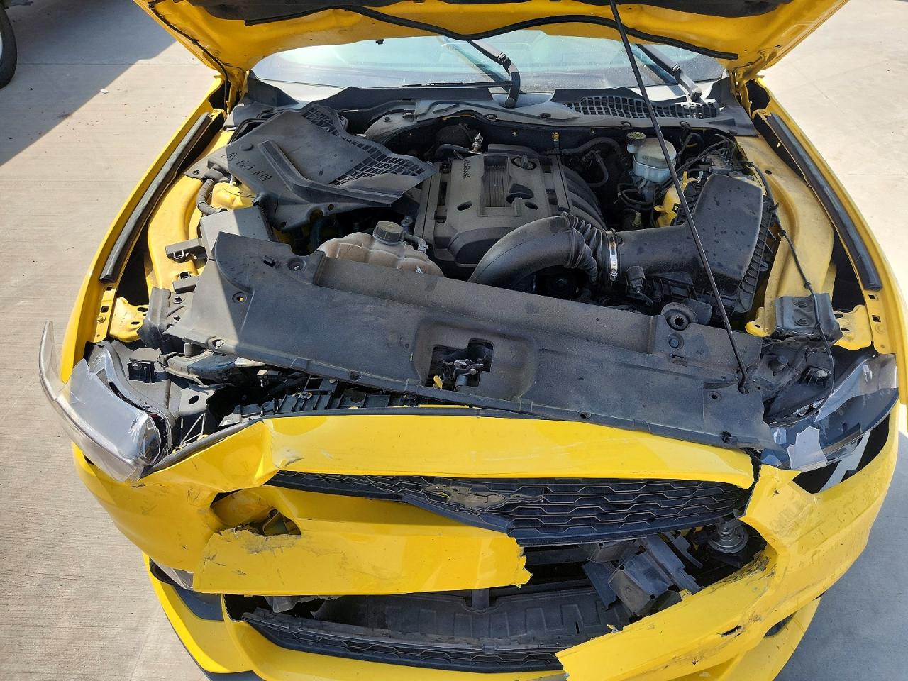 2015 Ford Mustang Yellow vin: 1FA6P8TH4F5338461