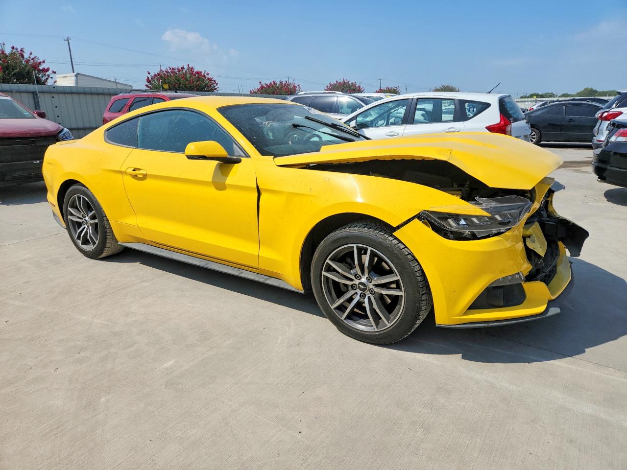 2015 Ford Mustang Yellow vin: 1FA6P8TH4F5338461