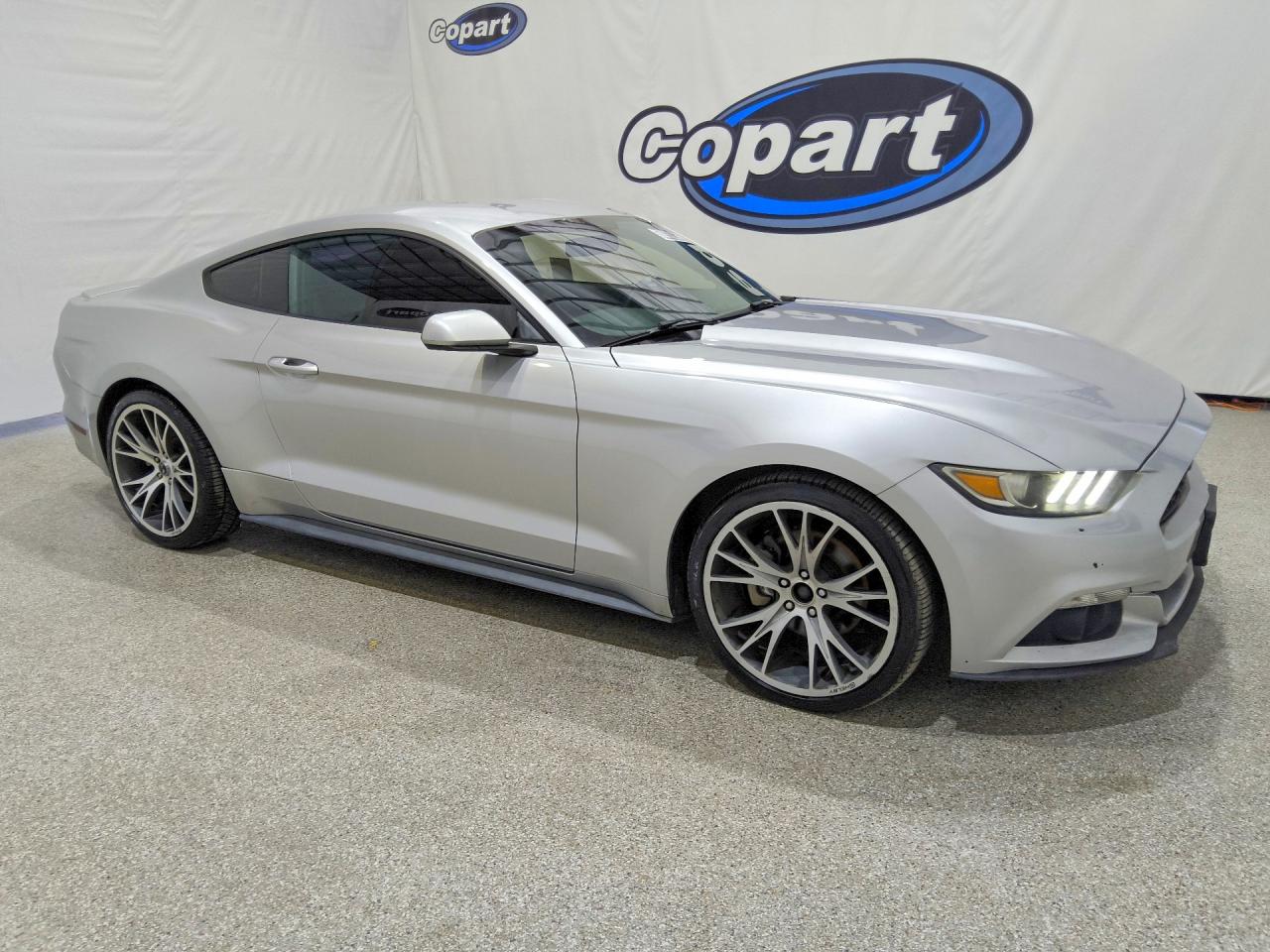 2015 Ford Mustang Gray vin: 1FA6P8TH4F5400070