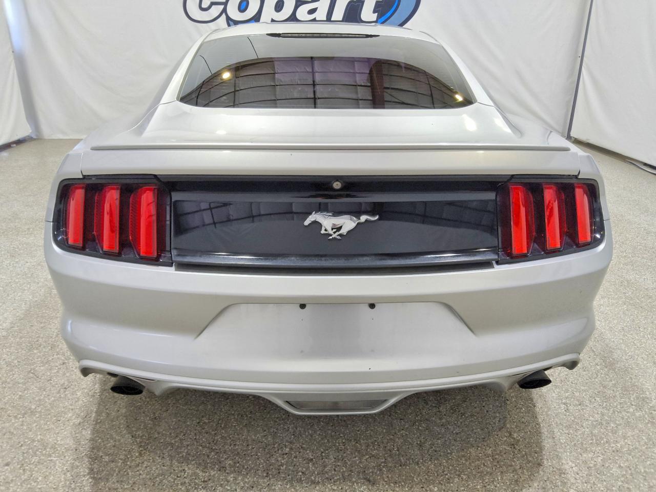 2015 Ford Mustang Gray vin: 1FA6P8TH4F5400070