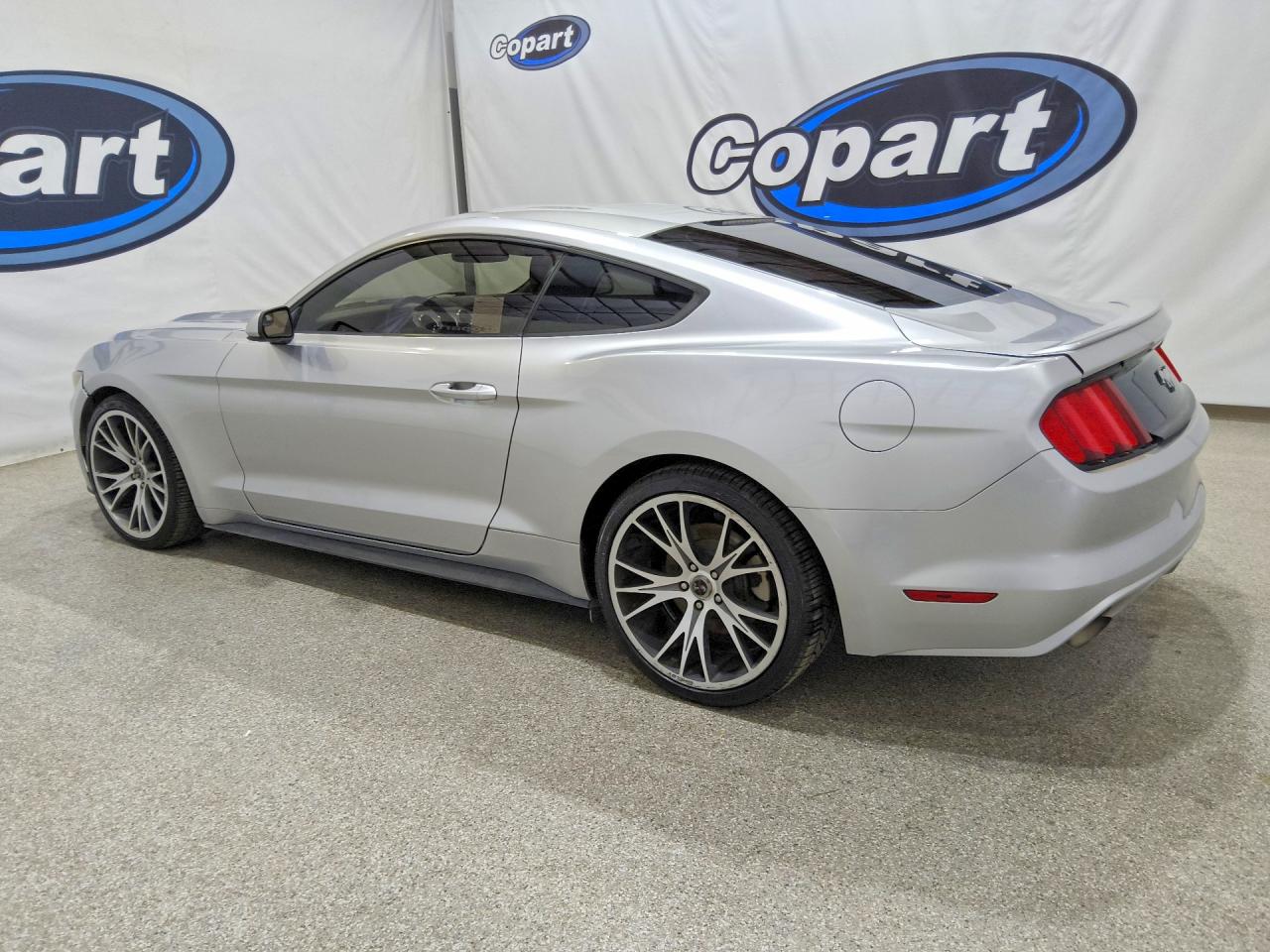 2015 Ford Mustang Gray vin: 1FA6P8TH4F5400070