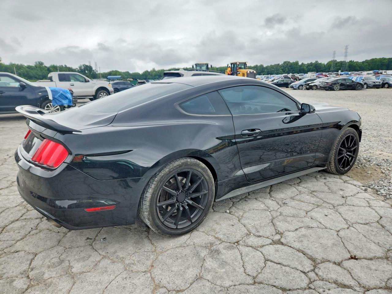 2015 Ford Mustang Black vin: 1FA6P8TH4F5407925