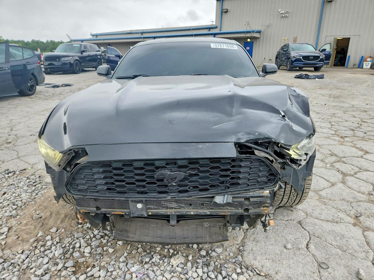 2015 Ford Mustang Black vin: 1FA6P8TH4F5407925