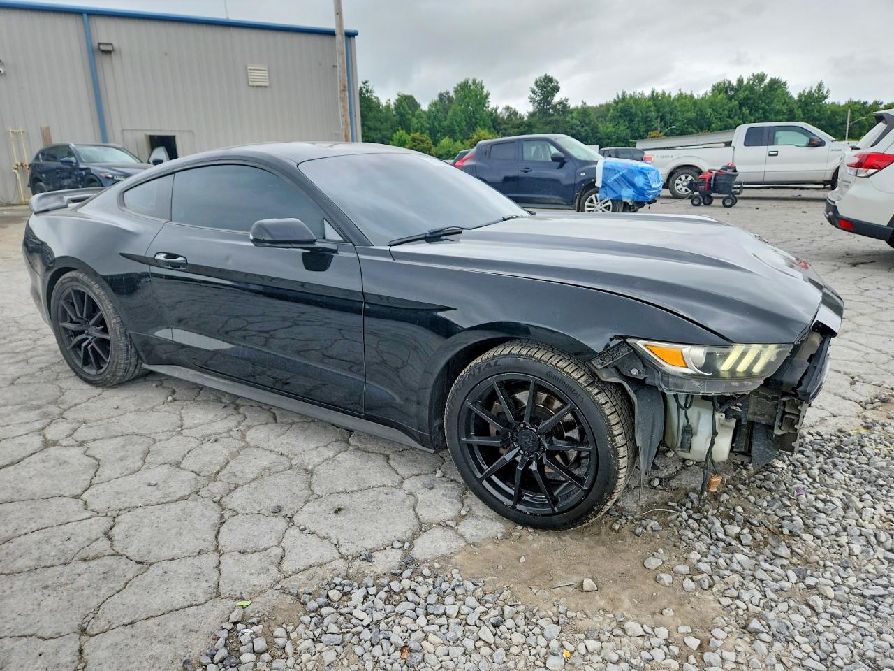 2015 Ford Mustang Black vin: 1FA6P8TH4F5407925