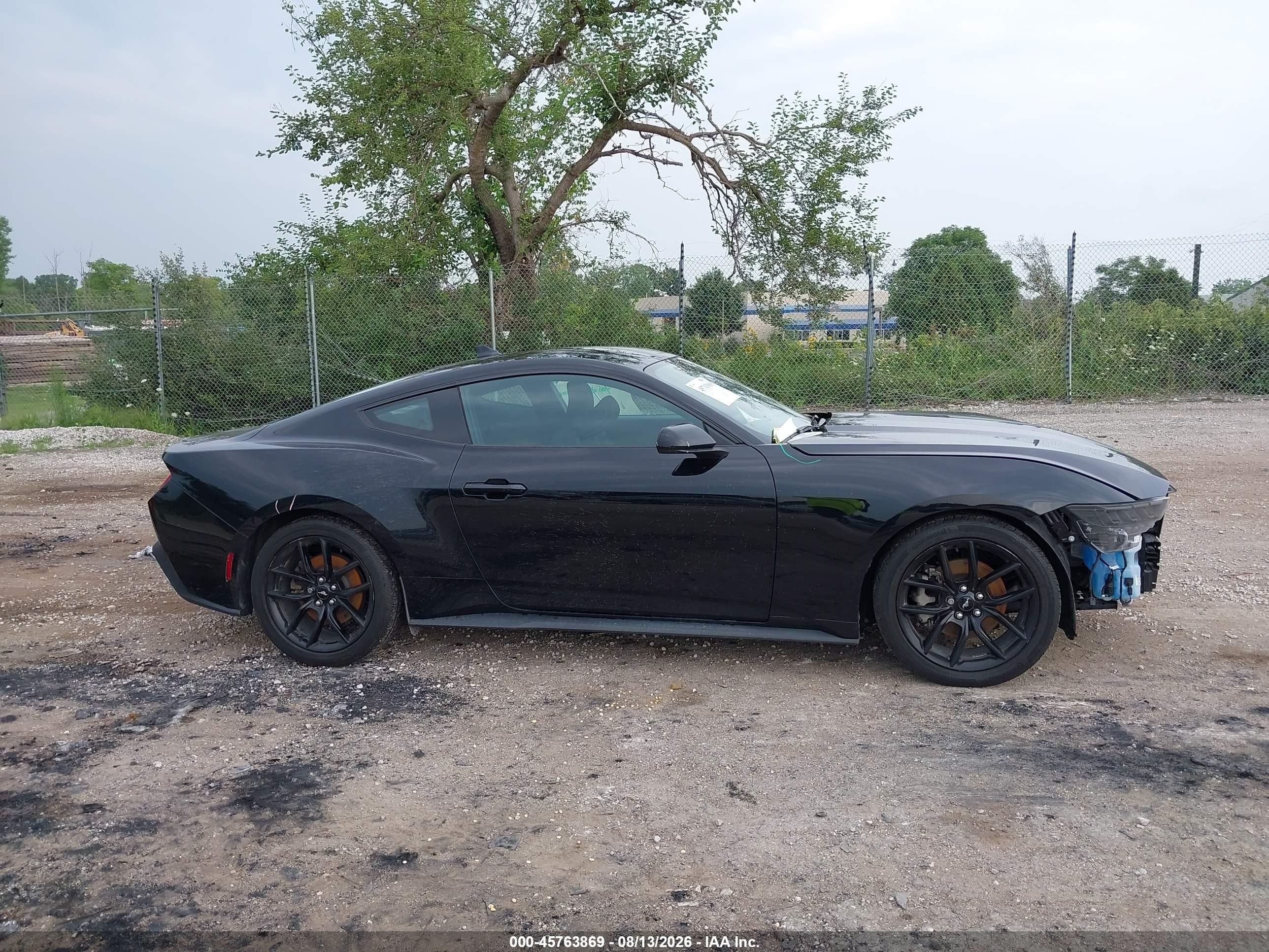 2024 Ford Mustang Ecoboost Fastback Black vin: 1FA6P8TH4R5106138