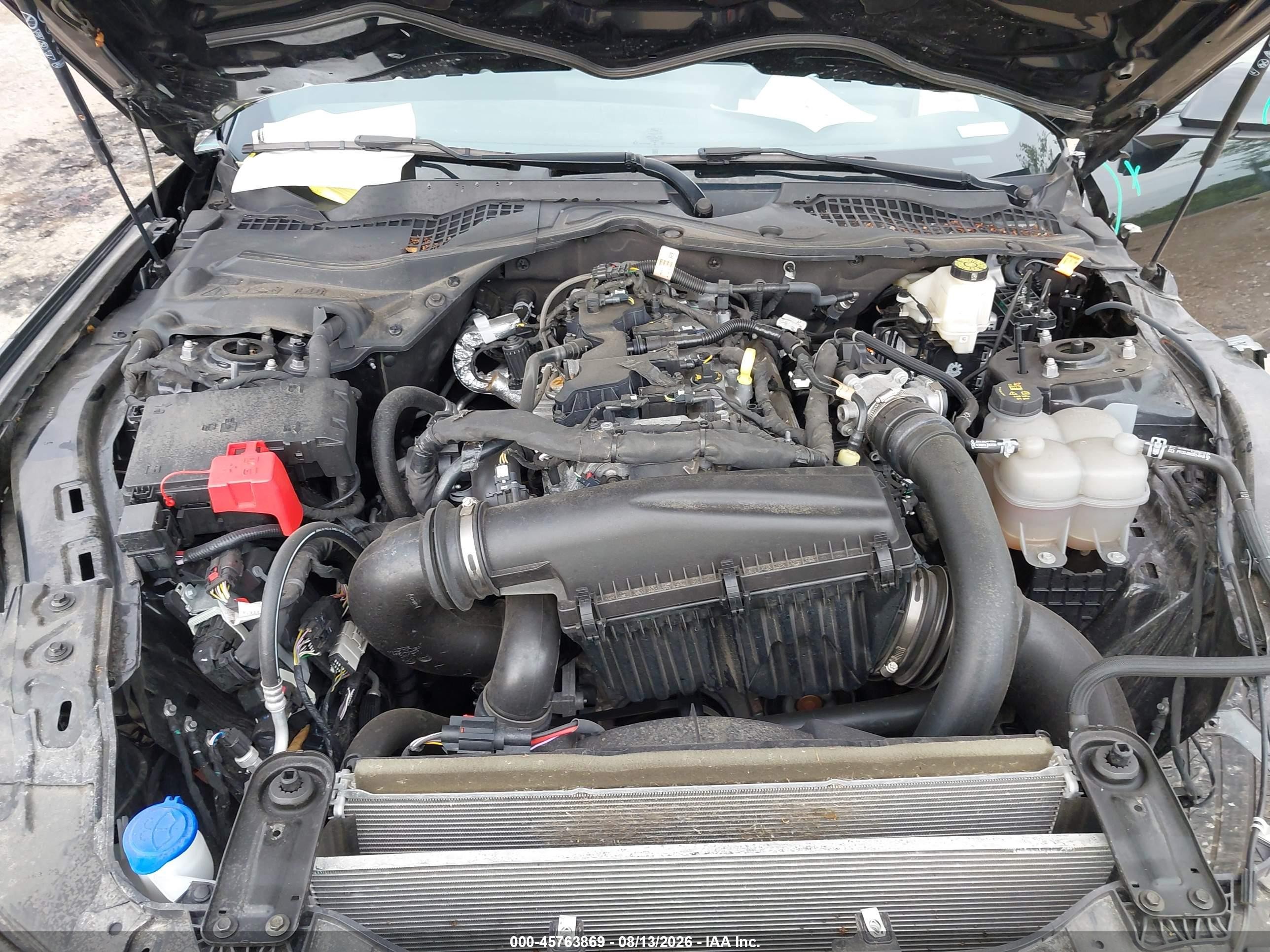 2024 Ford Mustang Ecoboost Fastback Black vin: 1FA6P8TH4R5106138