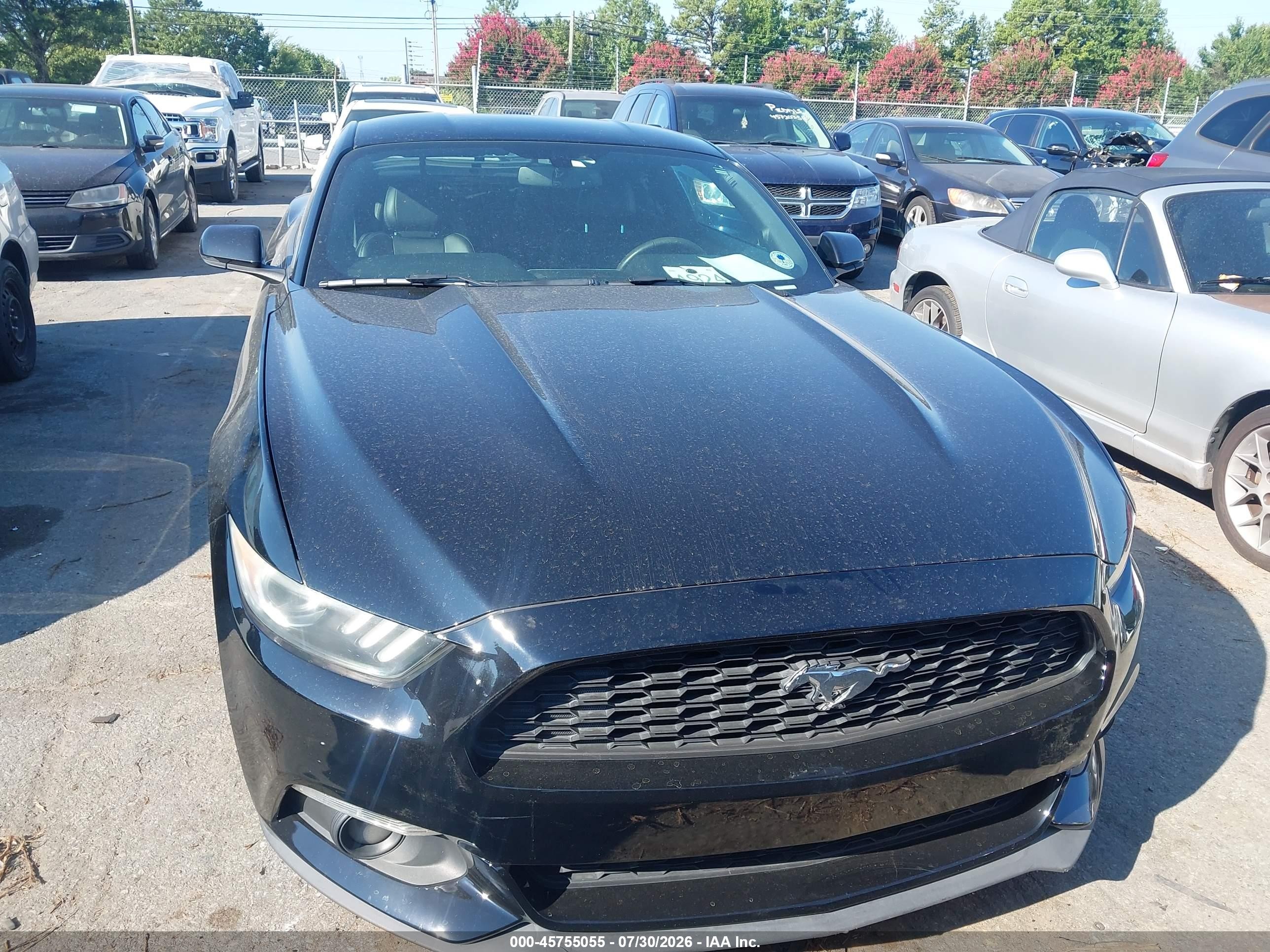 2015 Ford Mustang Ecoboost Black vin: 1FA6P8TH5F5377916