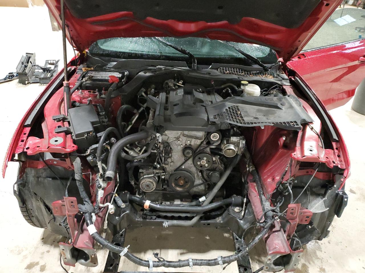 2020 Ford Mustang Красный vin: 1FA6P8TH5L5179591