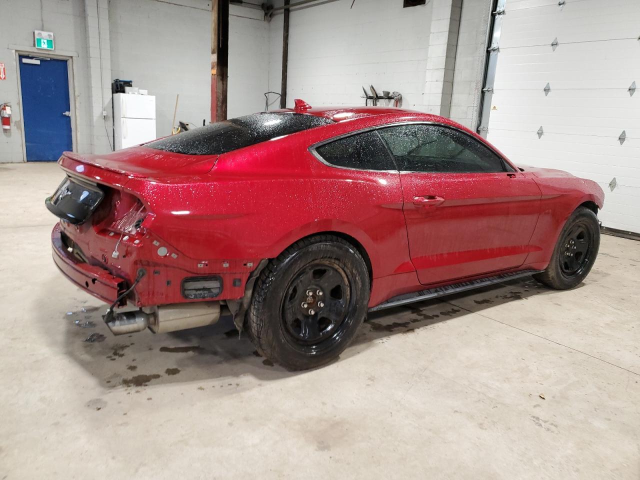 2020 Ford Mustang Красный vin: 1FA6P8TH5L5179591