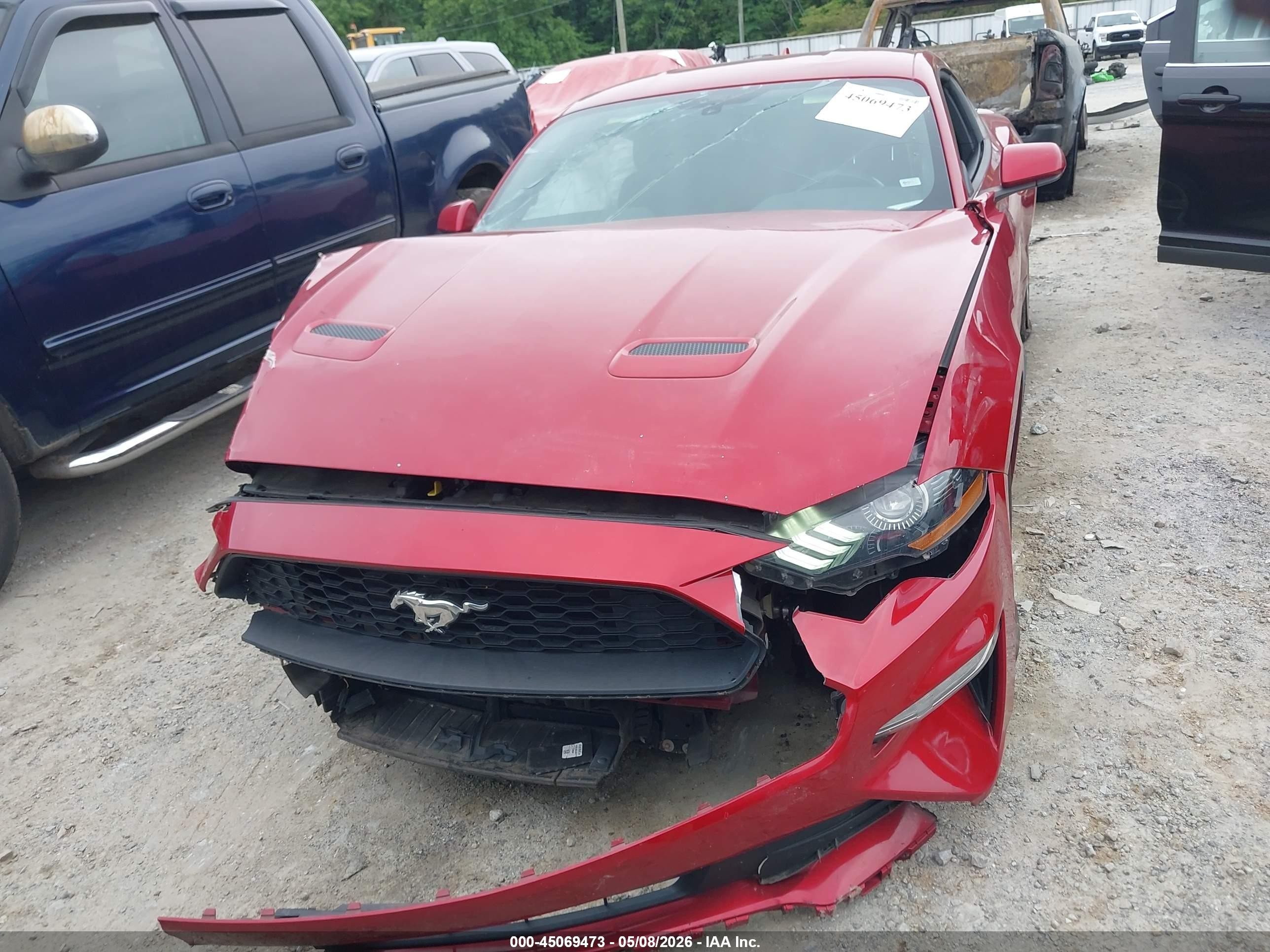 2020 Ford Mustang Ecoboost Fastback Red vin: 1FA6P8TH5L5190350