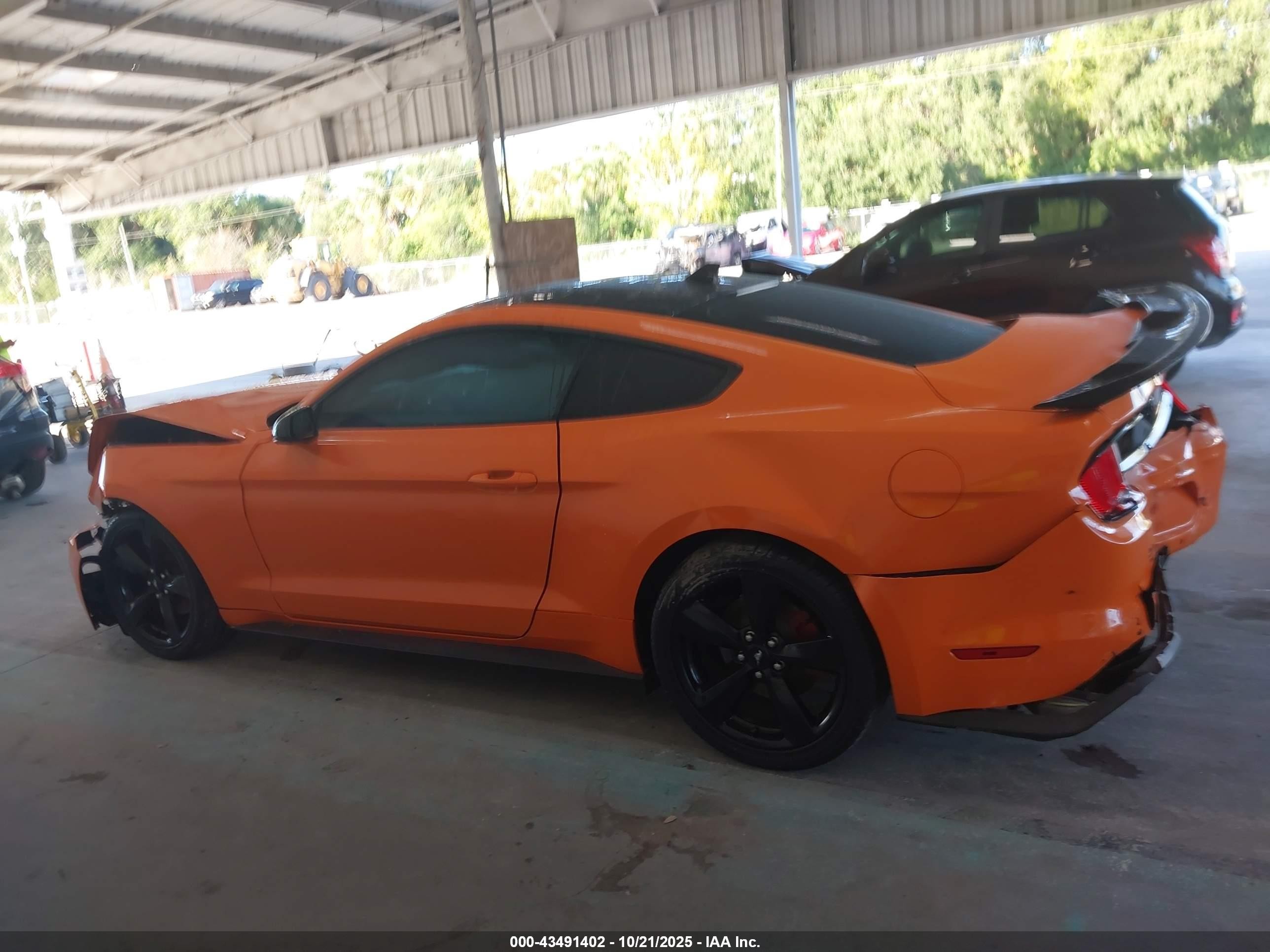 2021 Ford Mustang Ecoboost Fastback Orange vin: 1FA6P8TH5M5110420