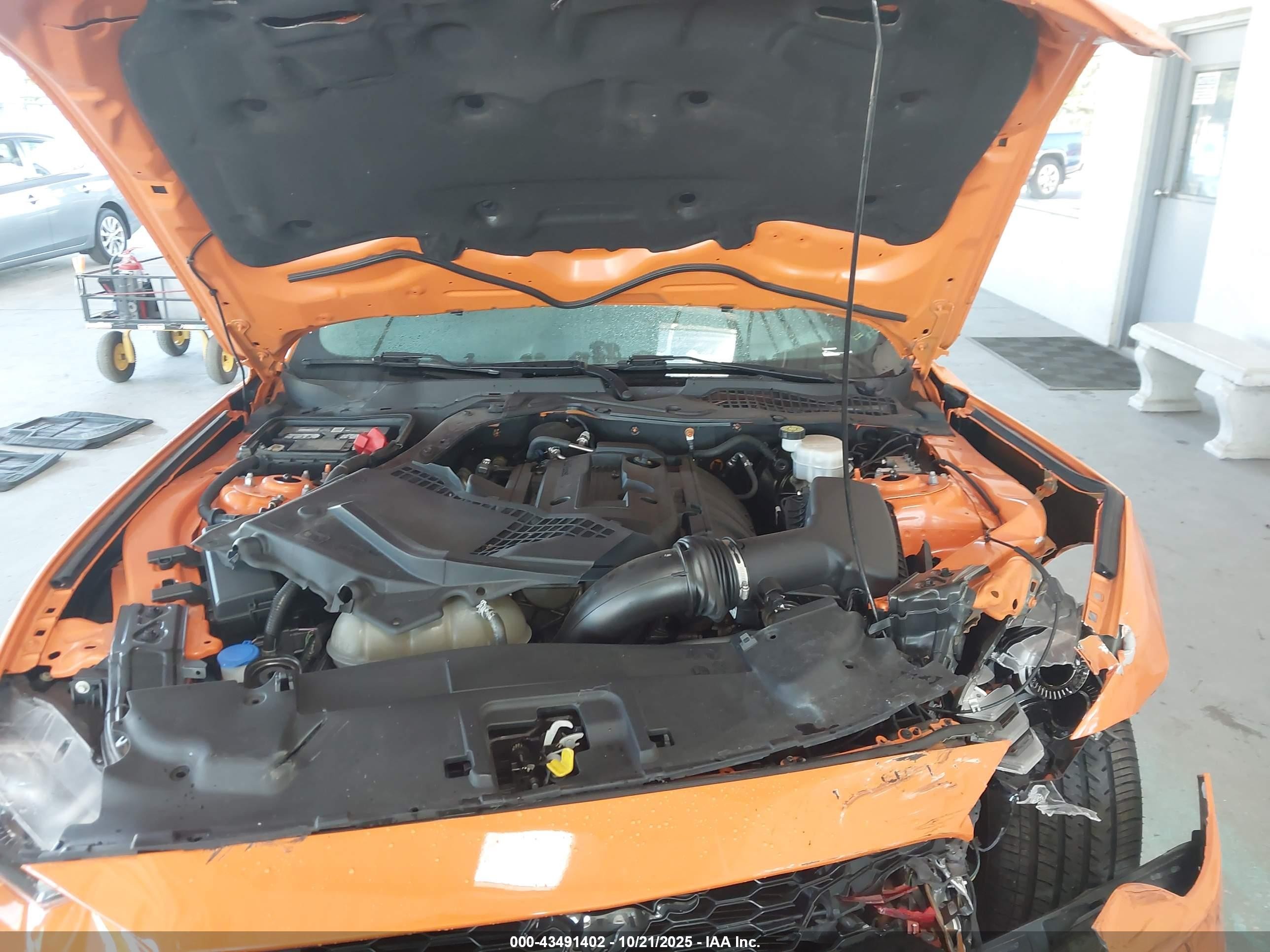 2021 Ford Mustang Ecoboost Fastback Orange vin: 1FA6P8TH5M5110420