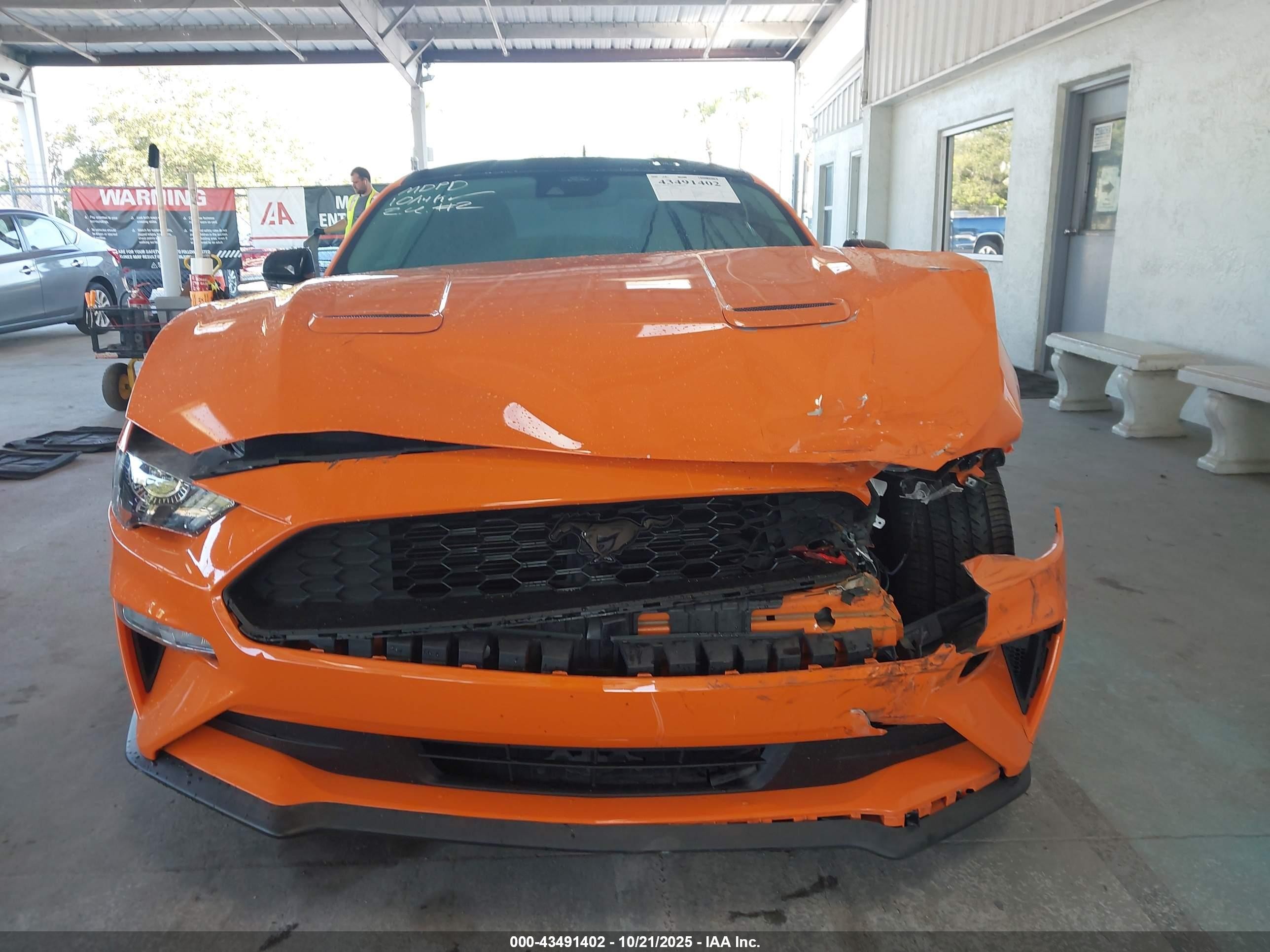 2021 Ford Mustang Ecoboost Fastback Orange vin: 1FA6P8TH5M5110420