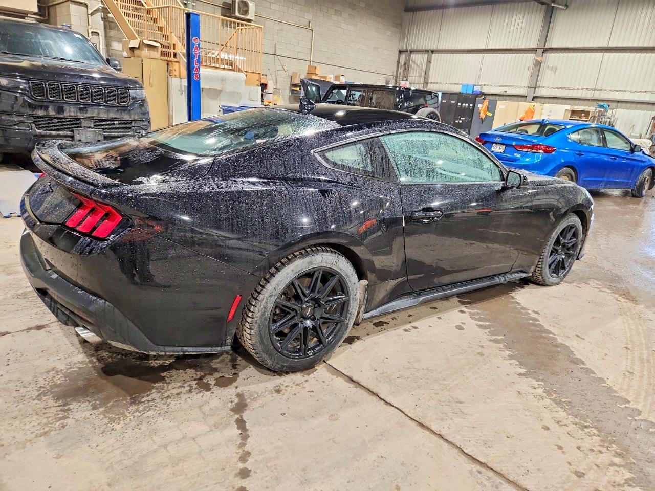 2024 Ford Mustang Black vin: 1FA6P8TH5R5104074