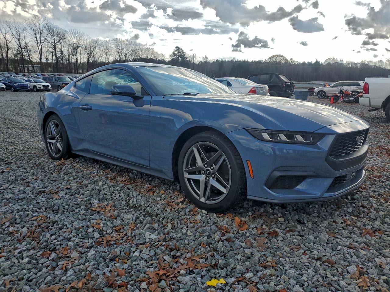 2024 Ford Mustang Blue vin: 1FA6P8TH5R5146342