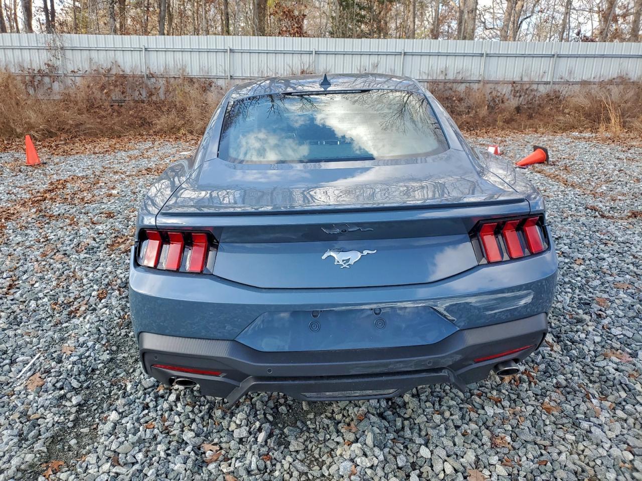 2024 Ford Mustang Blue vin: 1FA6P8TH5R5146342