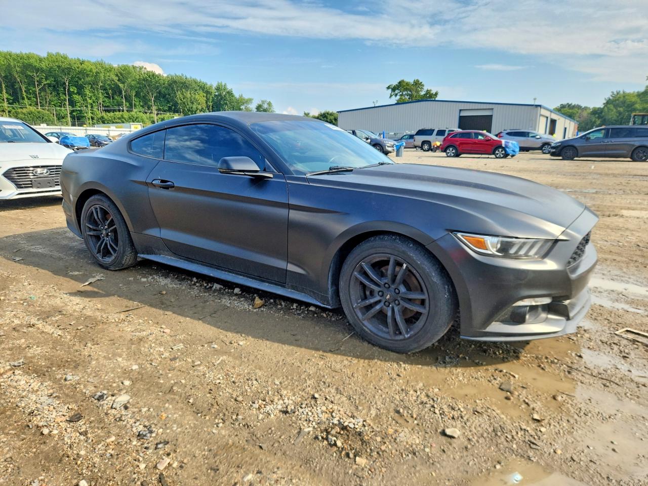 2015 Ford Mustang Black vin: 1FA6P8TH6F5319832