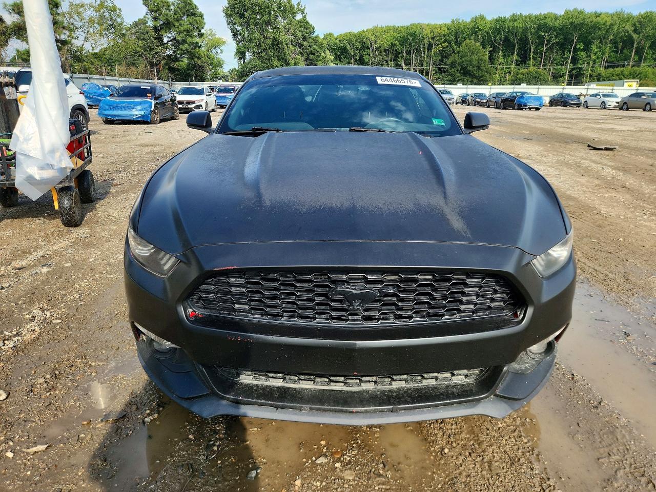 2015 Ford Mustang Black vin: 1FA6P8TH6F5319832