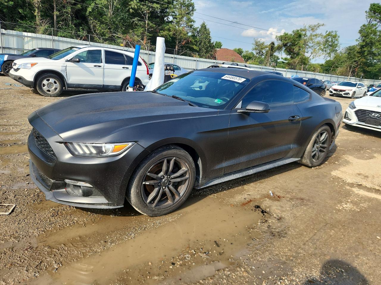 2015 Ford Mustang Black vin: 1FA6P8TH6F5319832