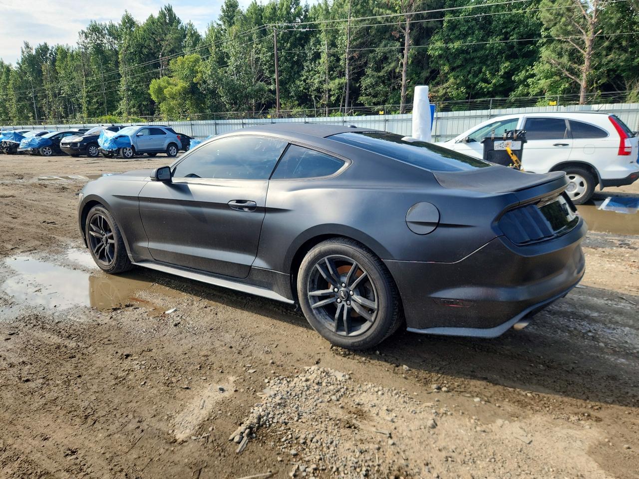 2015 Ford Mustang Black vin: 1FA6P8TH6F5319832