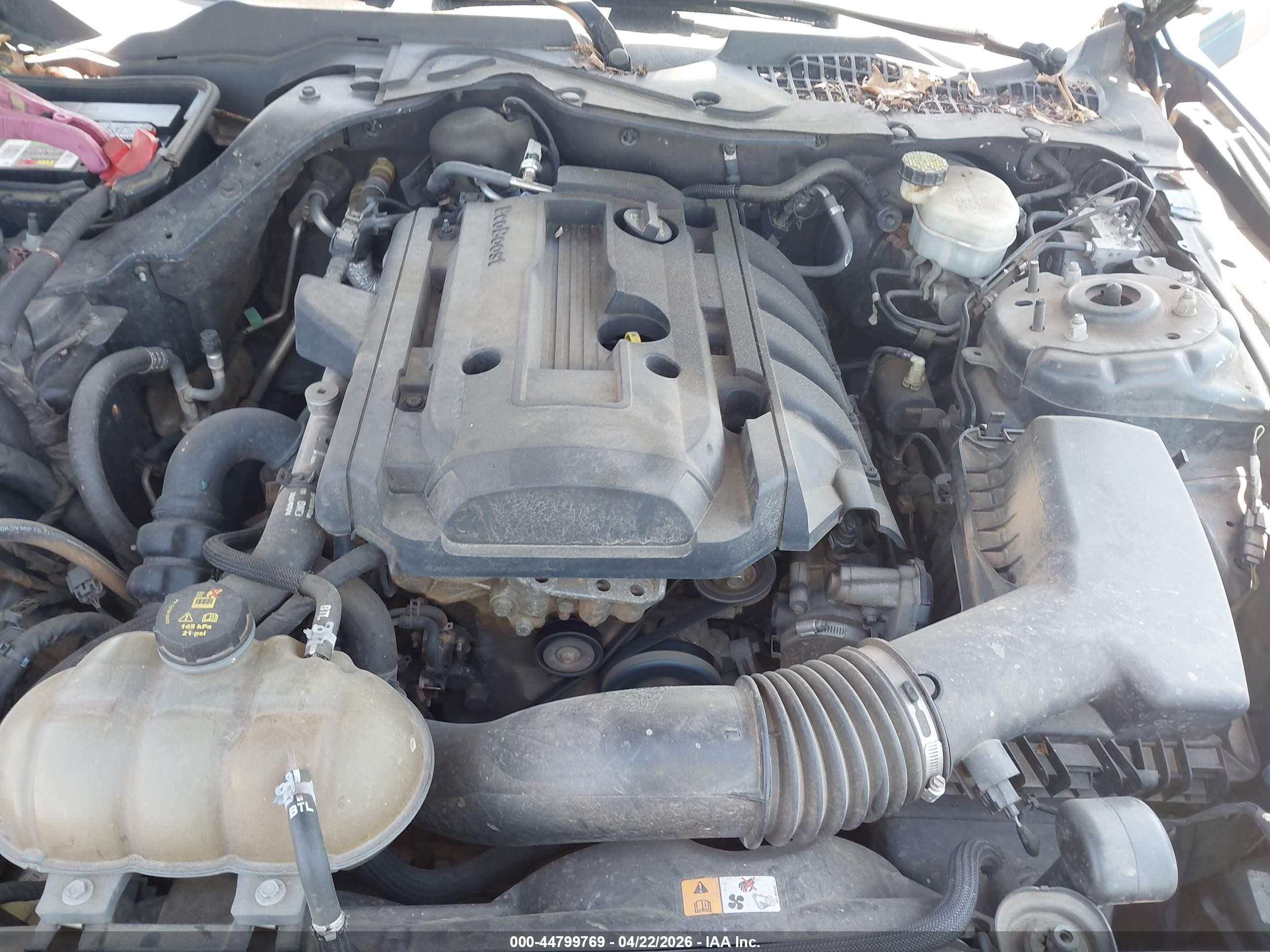 2015 Ford Mustang Ecoboost Green vin: 1FA6P8TH6F5340602