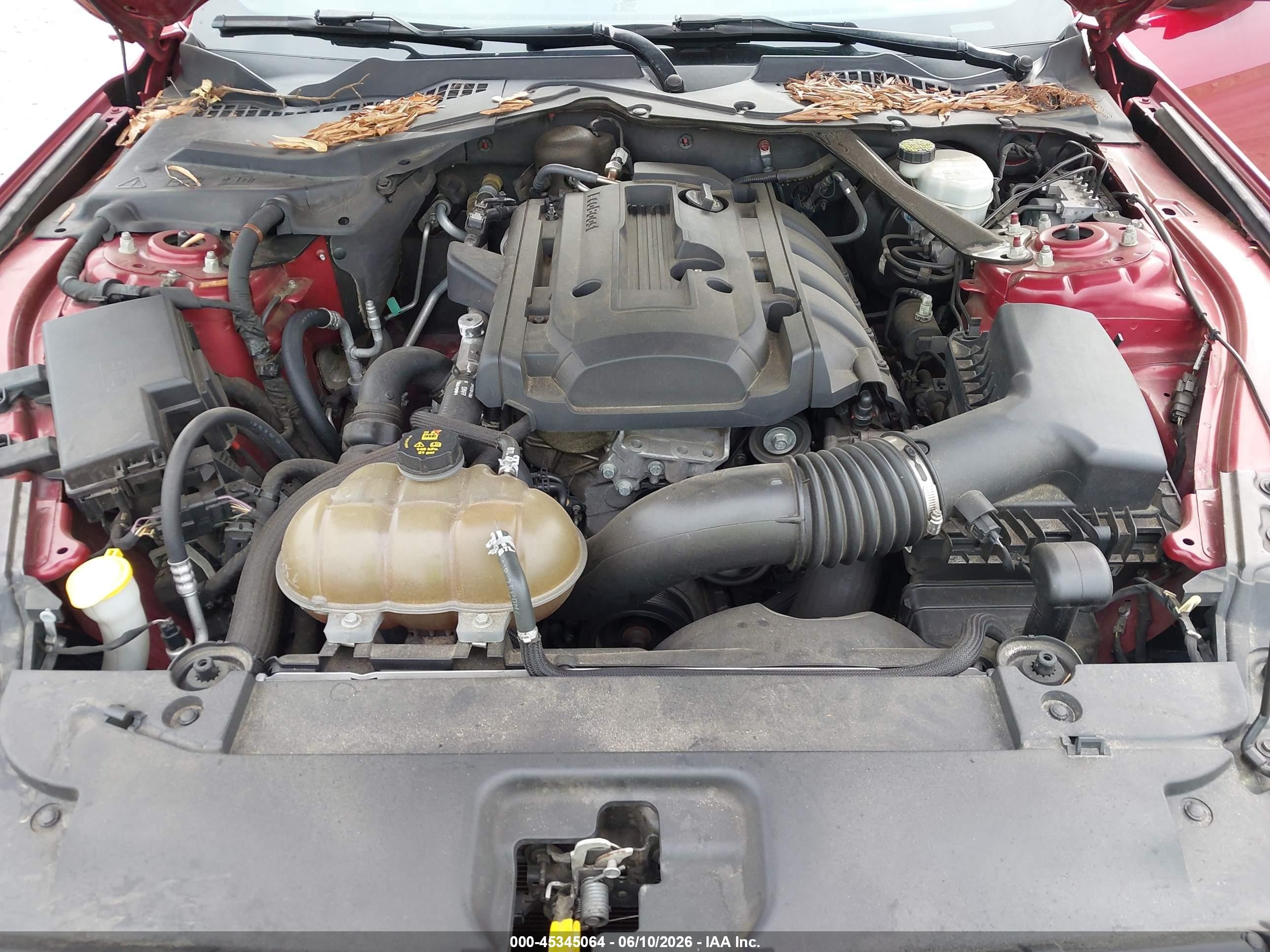 2015 Ford Mustang Ecoboost Red vin: 1FA6P8TH6F5341183