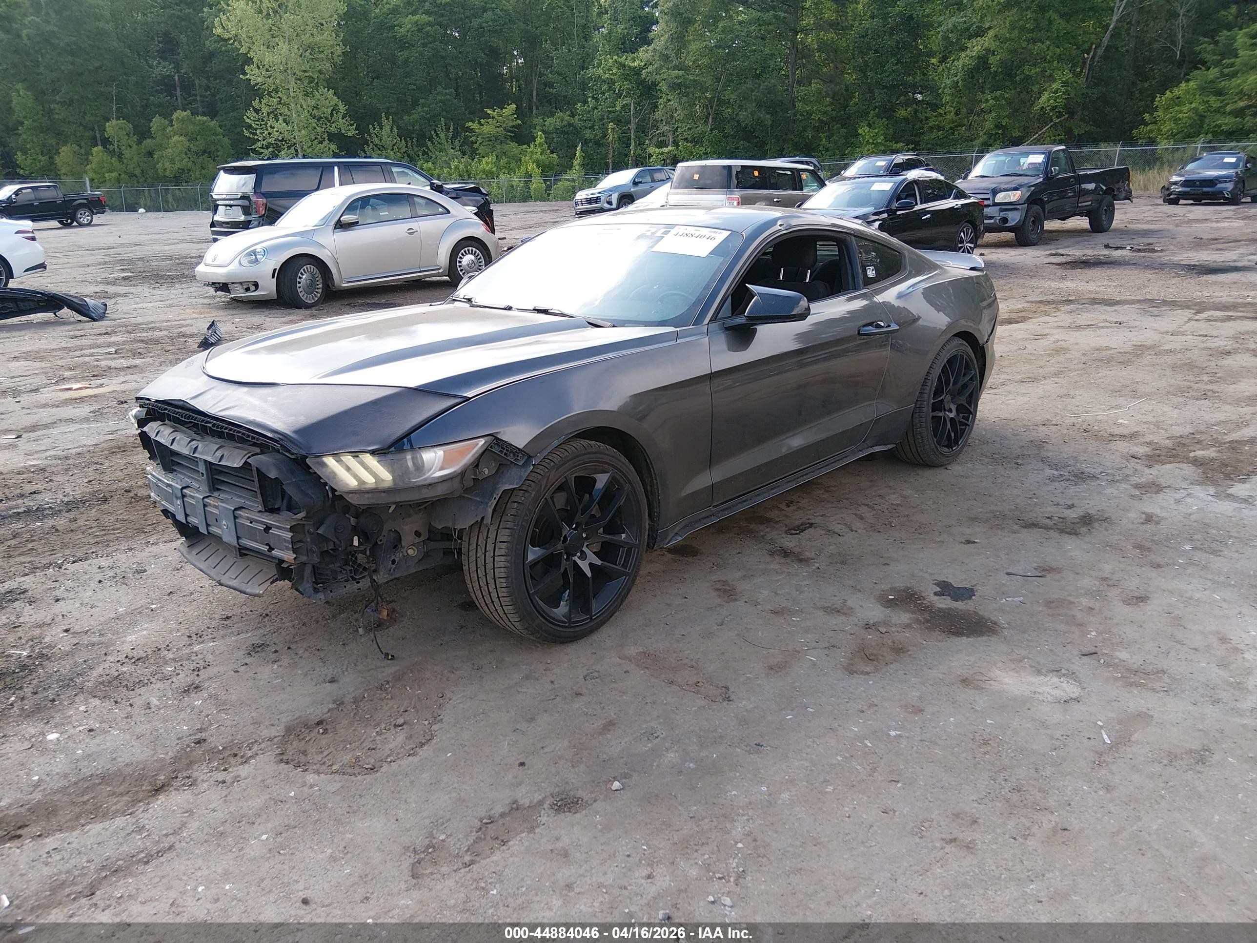 2015 Ford Mustang Ecoboost Black vin: 1FA6P8TH6F5433121