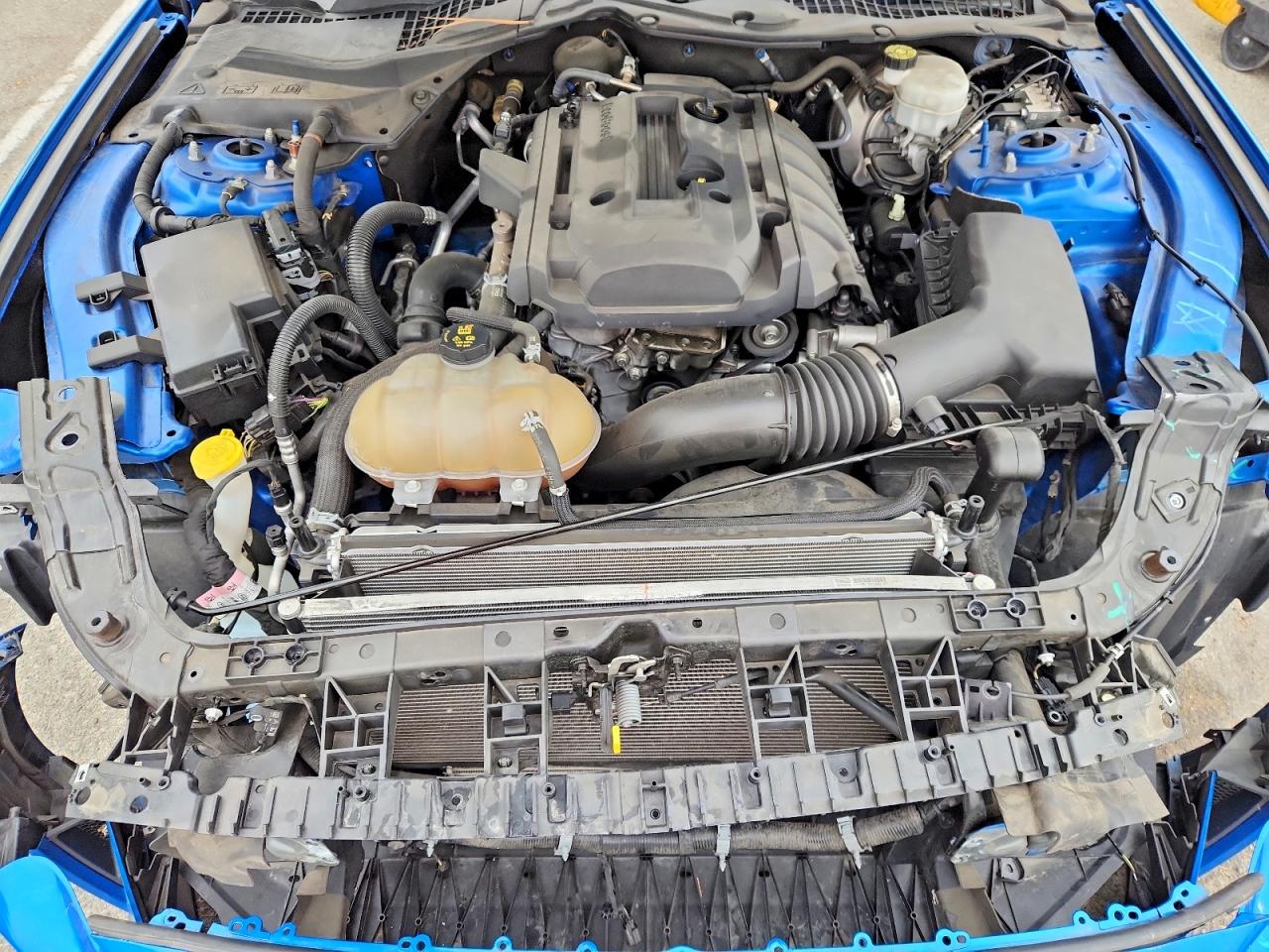 2019 Ford Mustang Blue vin: 1FA6P8TH6K5118913