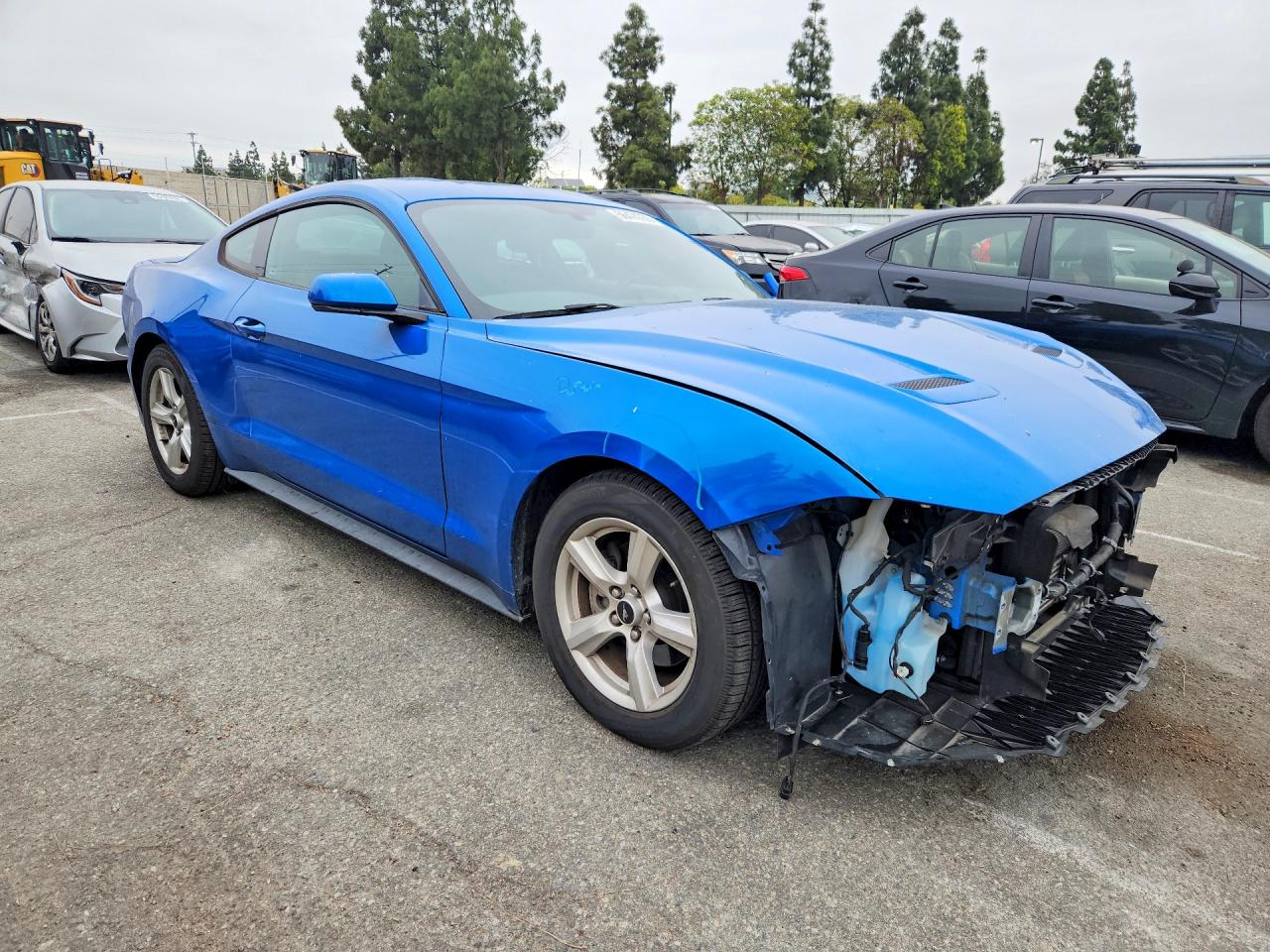 2019 Ford Mustang Blue vin: 1FA6P8TH6K5118913