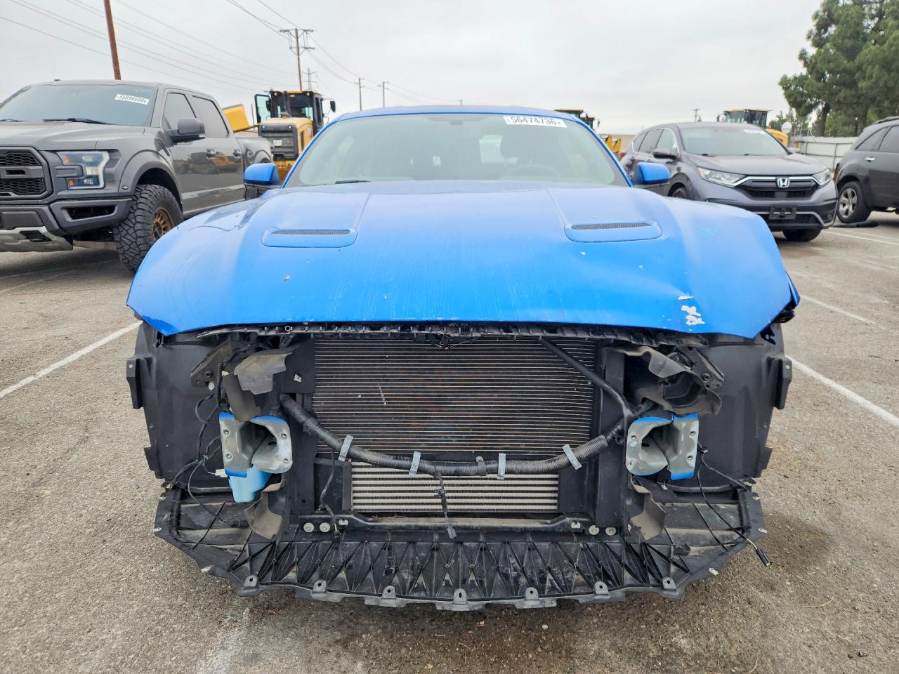 2019 Ford Mustang Blue vin: 1FA6P8TH6K5118913