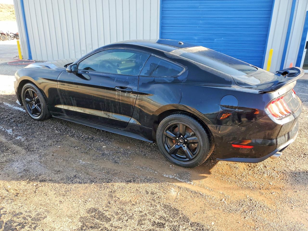 2019 Ford Mustang Black vin: 1FA6P8TH6K5152950