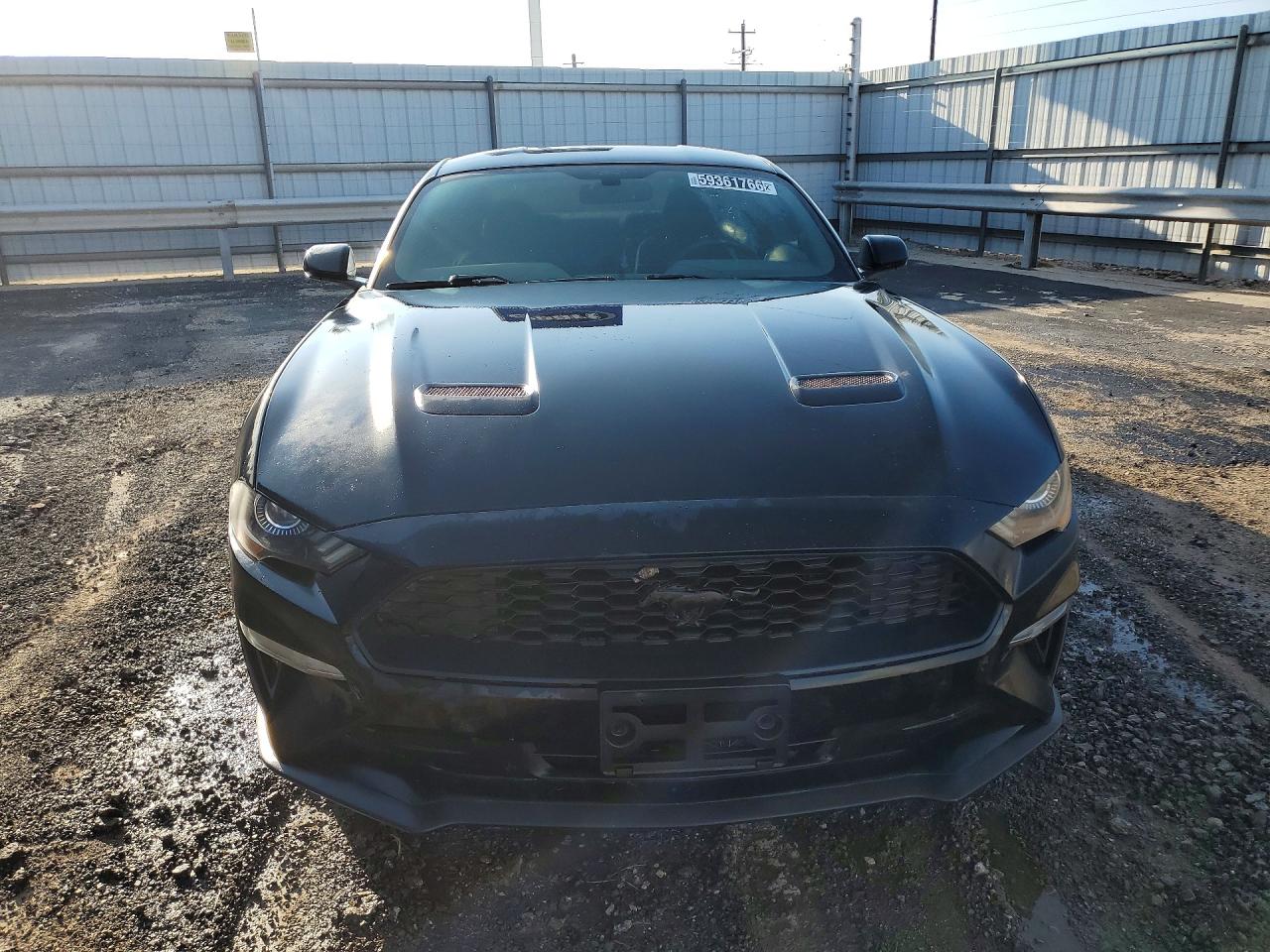2019 Ford Mustang Black vin: 1FA6P8TH6K5152950
