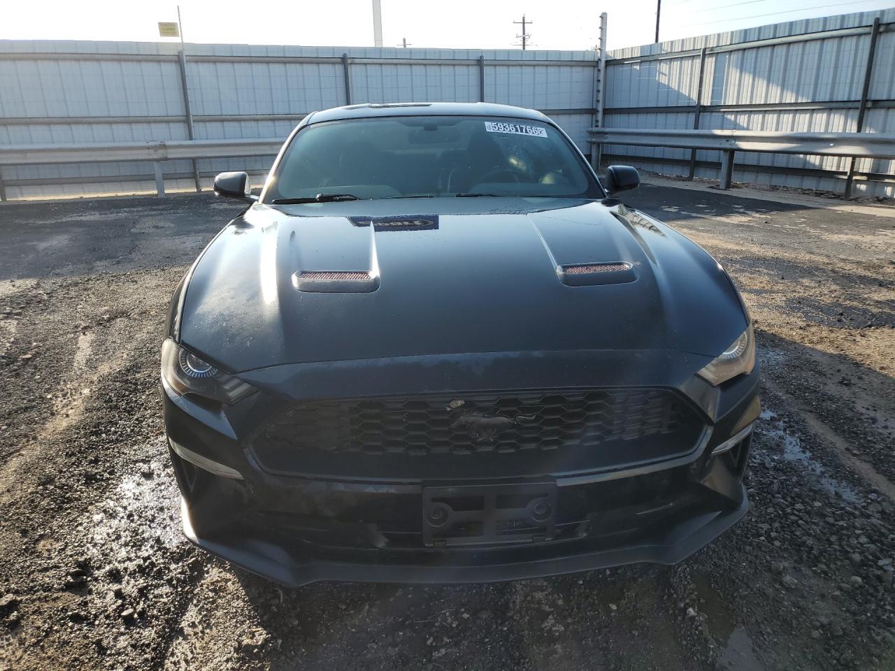 2019 Ford Mustang Black vin: 1FA6P8TH6K5152950 Damage: Hood, Chipped, 10 Or More