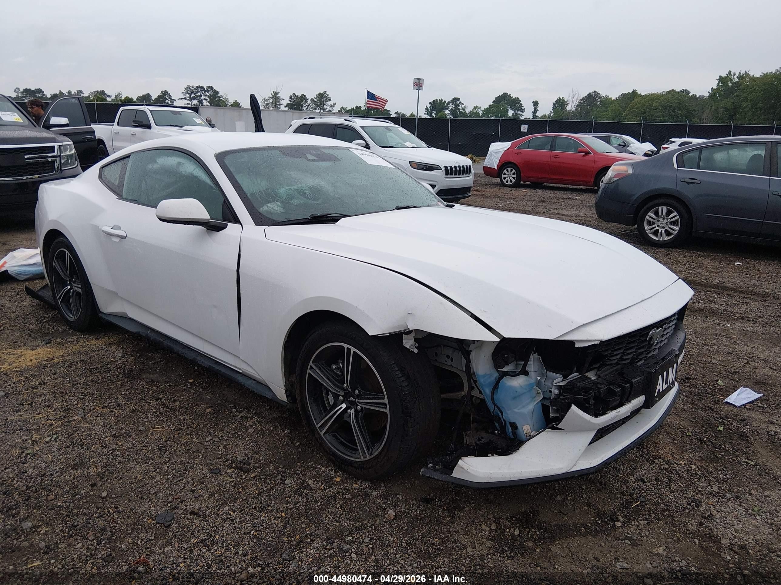 2024 Ford Mustang Ecoboost Fastback White vin: 1FA6P8TH6R5107324