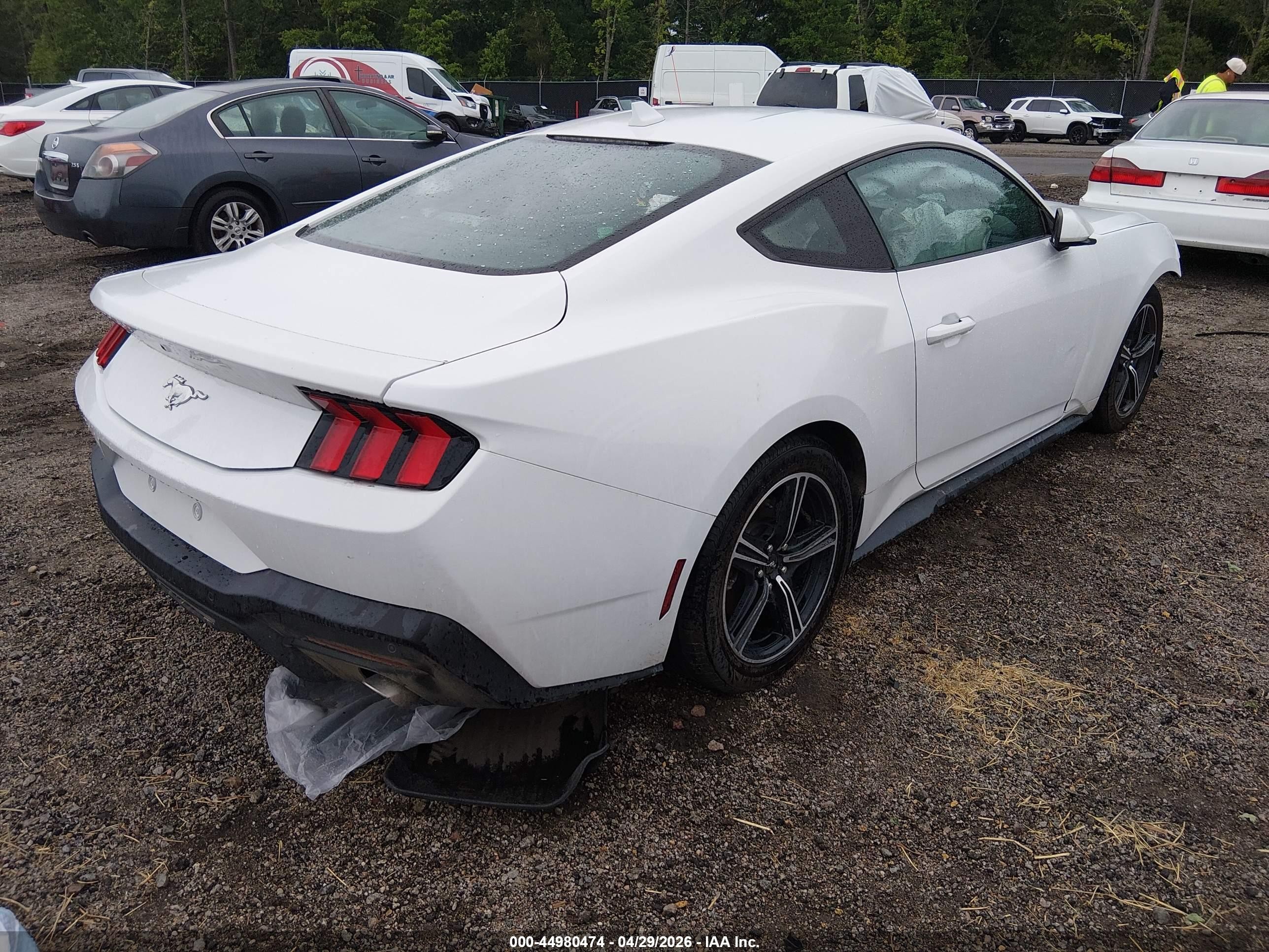 2024 Ford Mustang Ecoboost Fastback White vin: 1FA6P8TH6R5107324