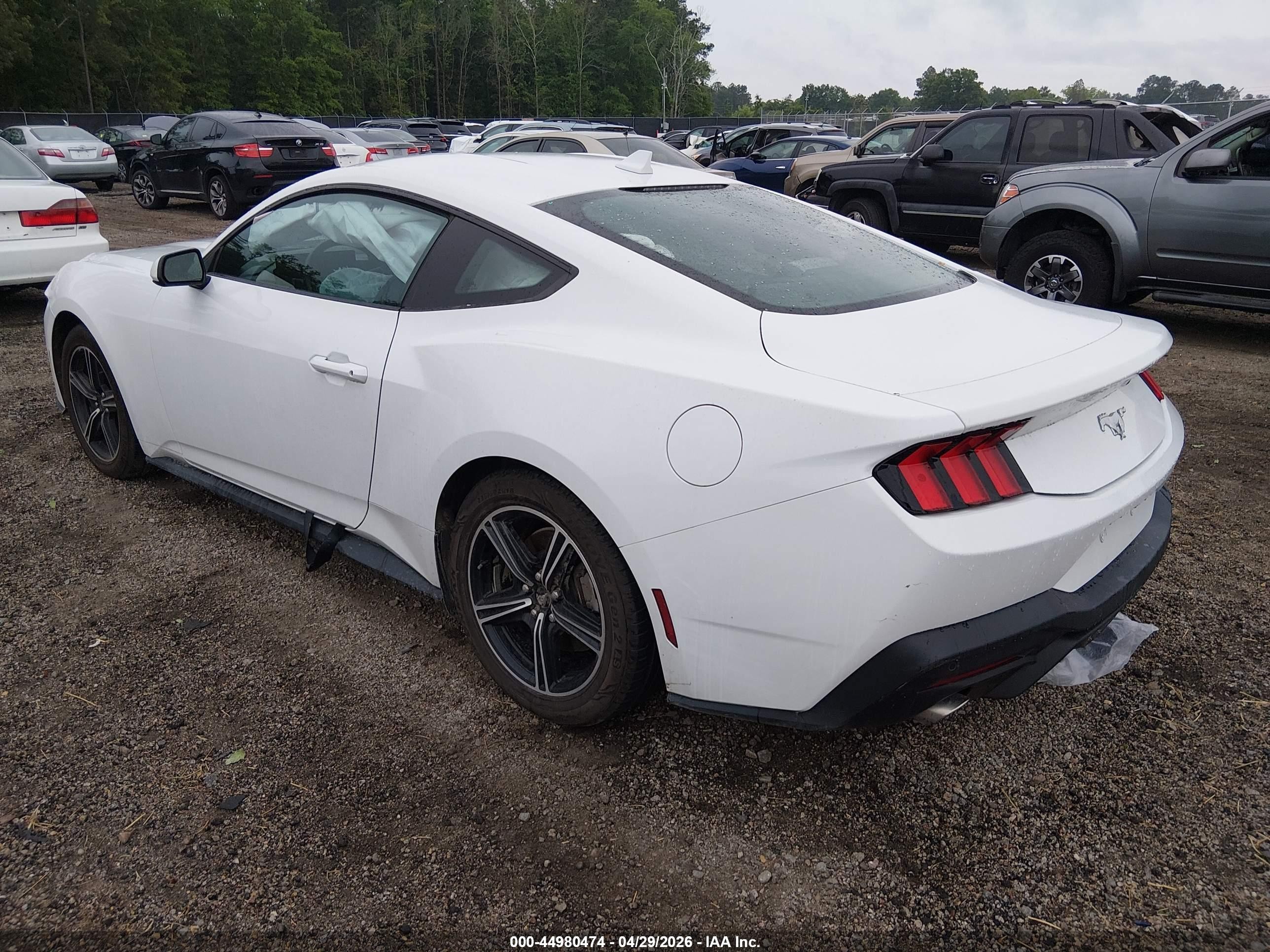 2024 Ford Mustang Ecoboost Fastback White vin: 1FA6P8TH6R5107324