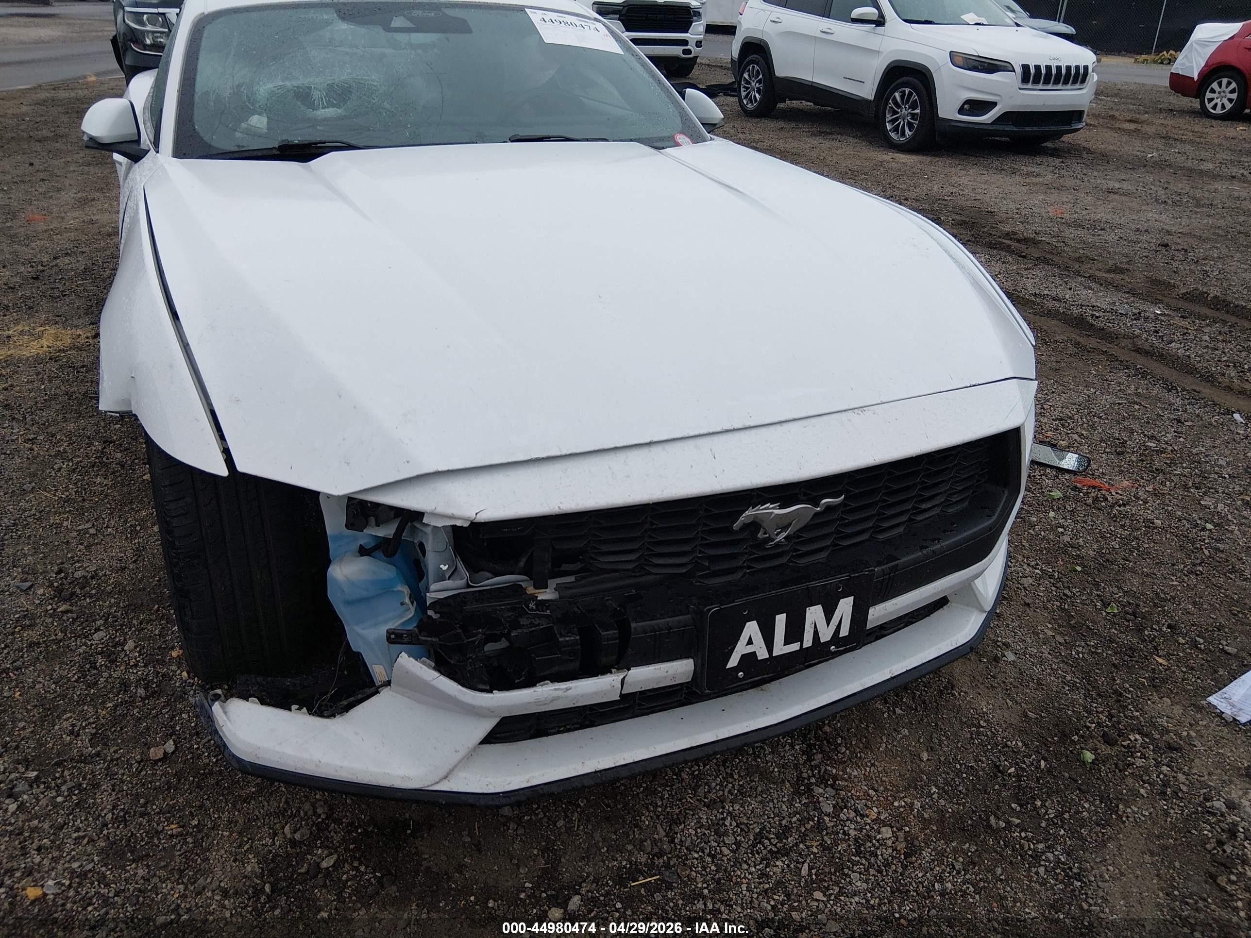 2024 Ford Mustang Ecoboost Fastback White vin: 1FA6P8TH6R5107324