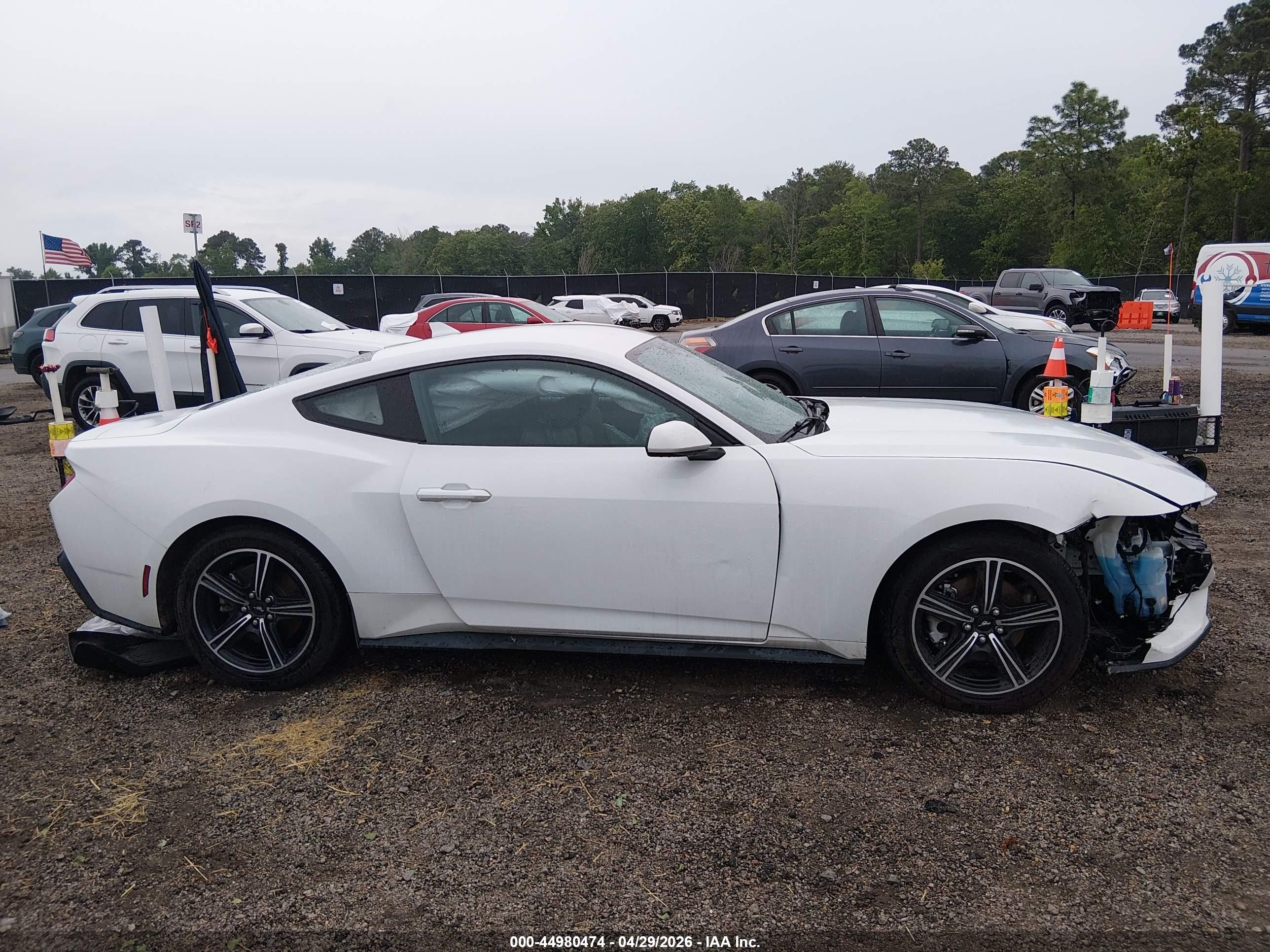 2024 Ford Mustang Ecoboost Fastback White vin: 1FA6P8TH6R5107324