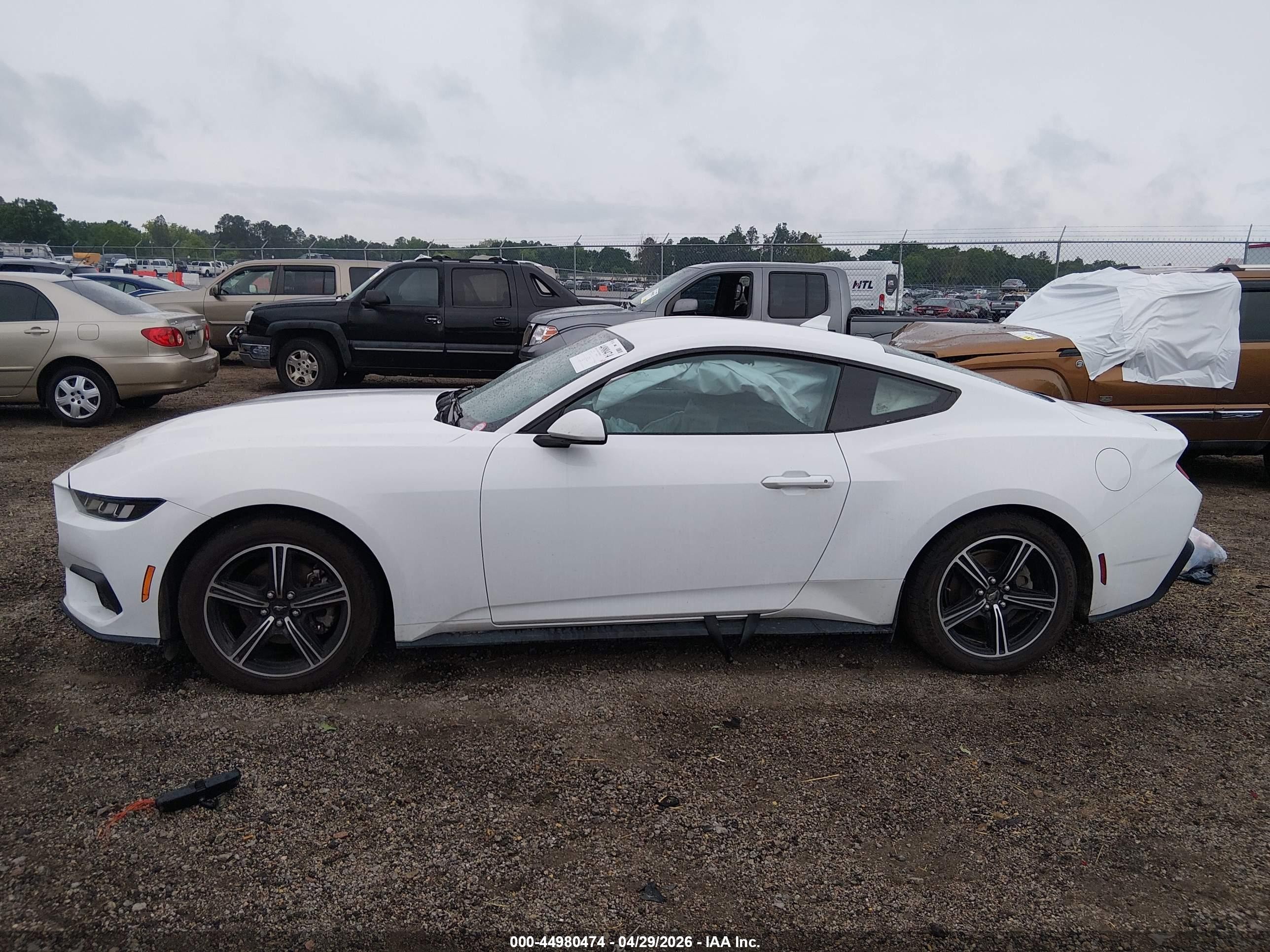 2024 Ford Mustang Ecoboost Fastback White vin: 1FA6P8TH6R5107324