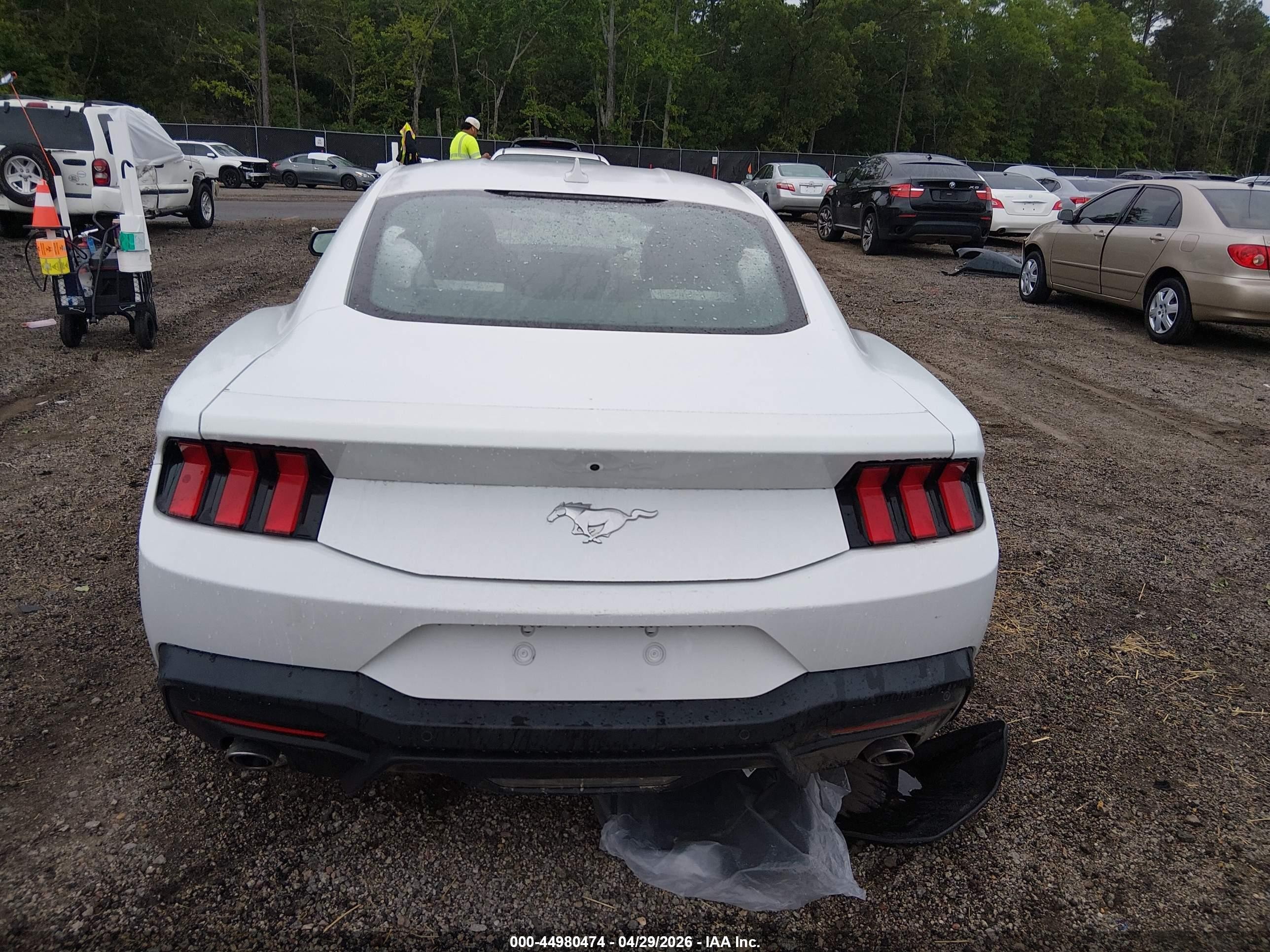 2024 Ford Mustang Ecoboost Fastback White vin: 1FA6P8TH6R5107324